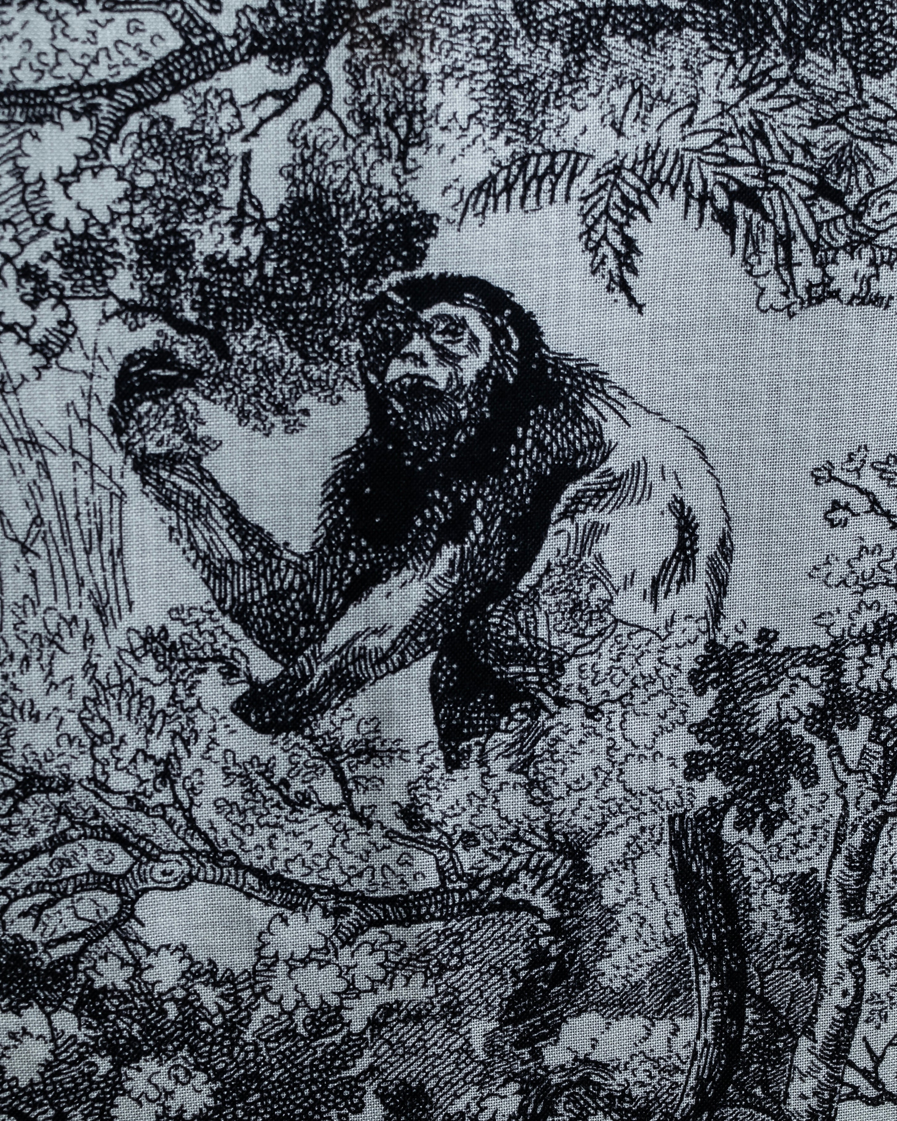 "DIOR" Toile de Jouy Sauvage Scarf