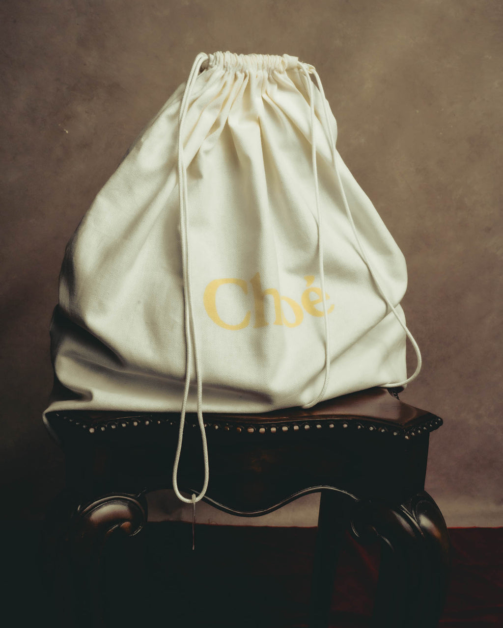 ゴールドのChloéロゴが入った、巾着型の保存袋を写した付属品カット。