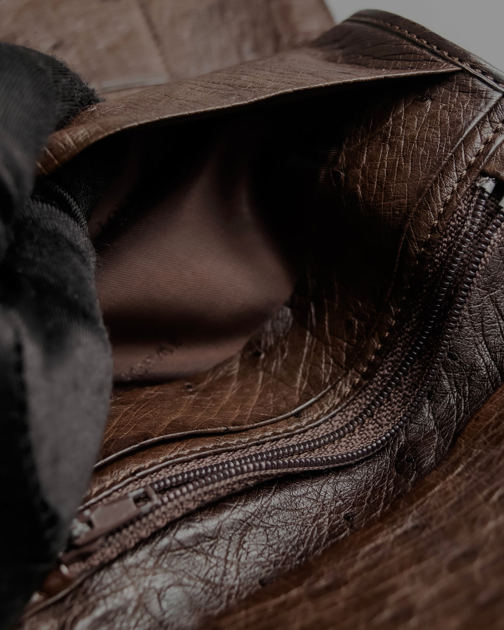 "LOEWE" Ostrich leather bi-fold wallet