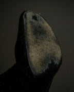 "CHANEL" Gold particle design pony leather heel boots