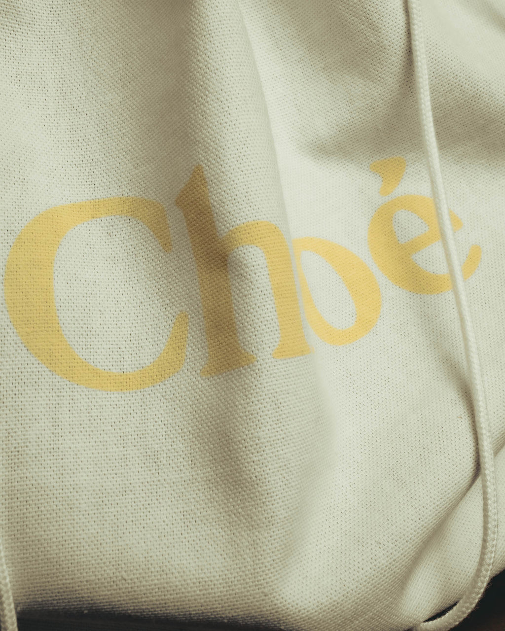 "Chloé" 00's Iconic leather handbag