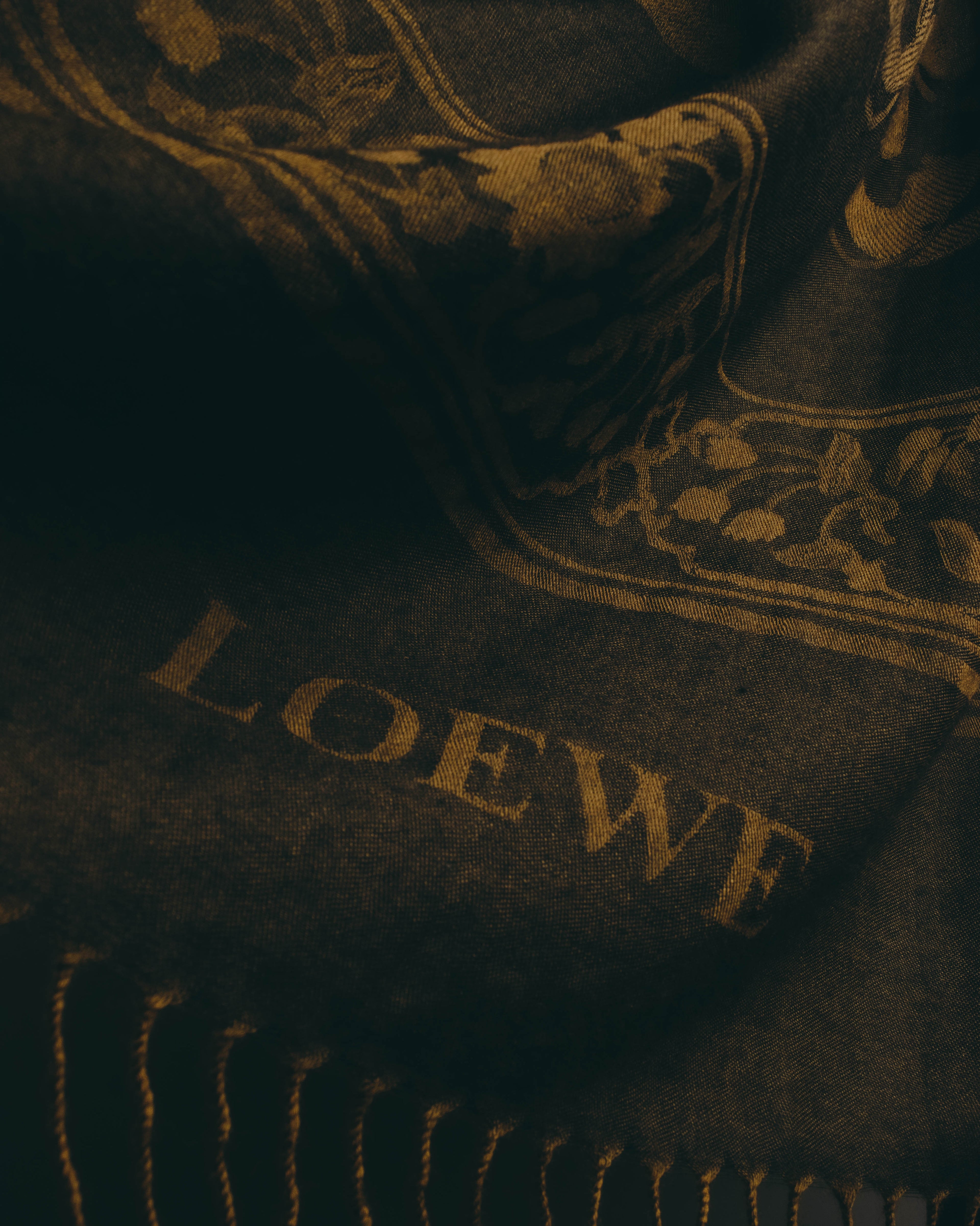 -SPECIAL- “LOEWE” 90’s-00’s Botanical anagram jacquard fringe stole