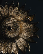 Christian Dior Floral Sunburst Crystal Brooch