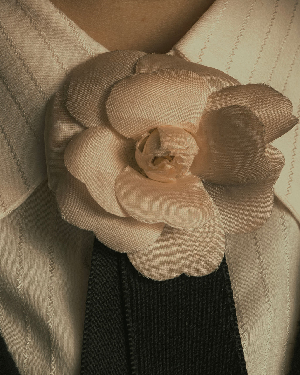 -SPECIAL- "CHANEL" 00's Boutique decoration with camellia motif brooch