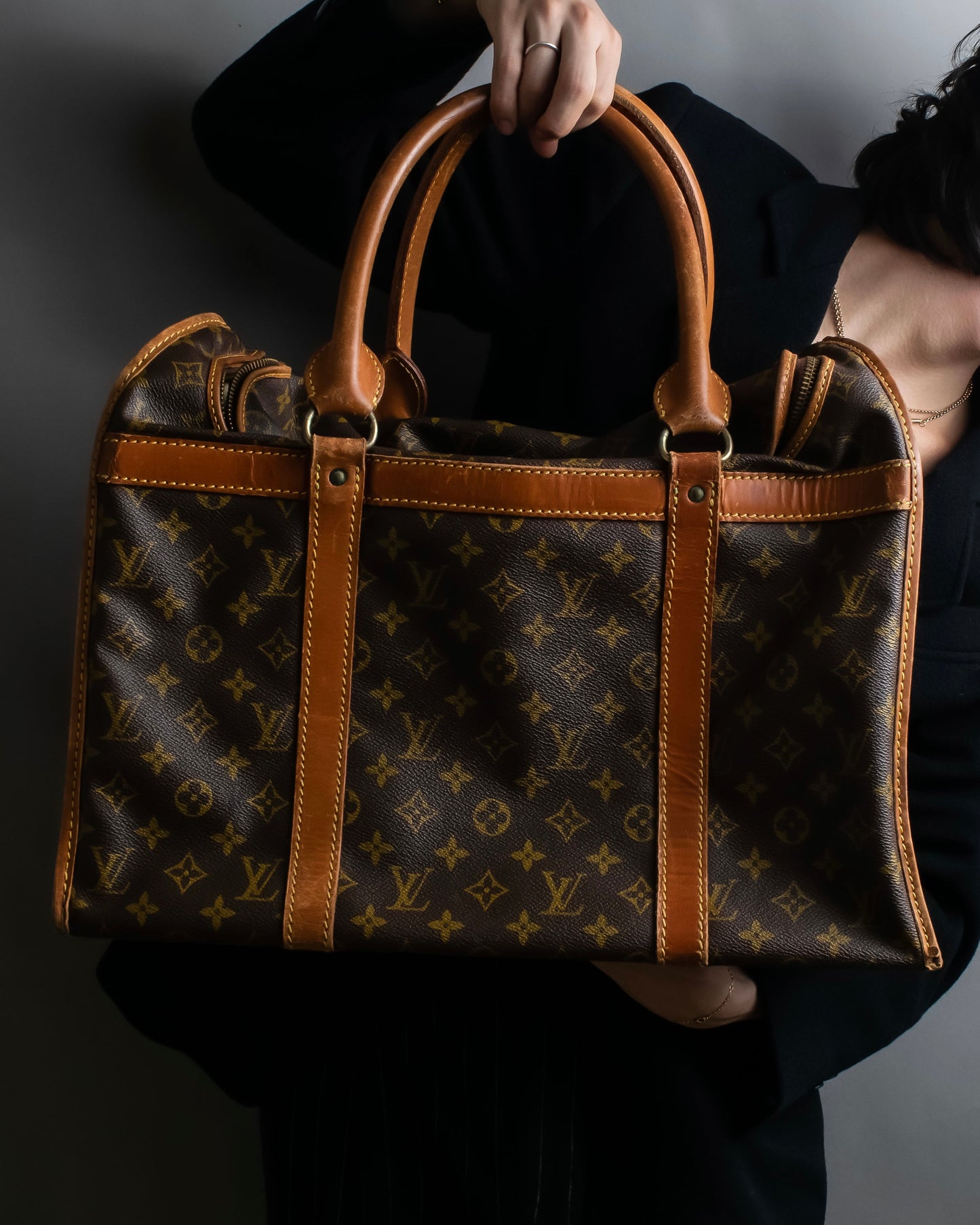 "LOUIS VUITTON" Monogram pattern pet carrier Boston bag