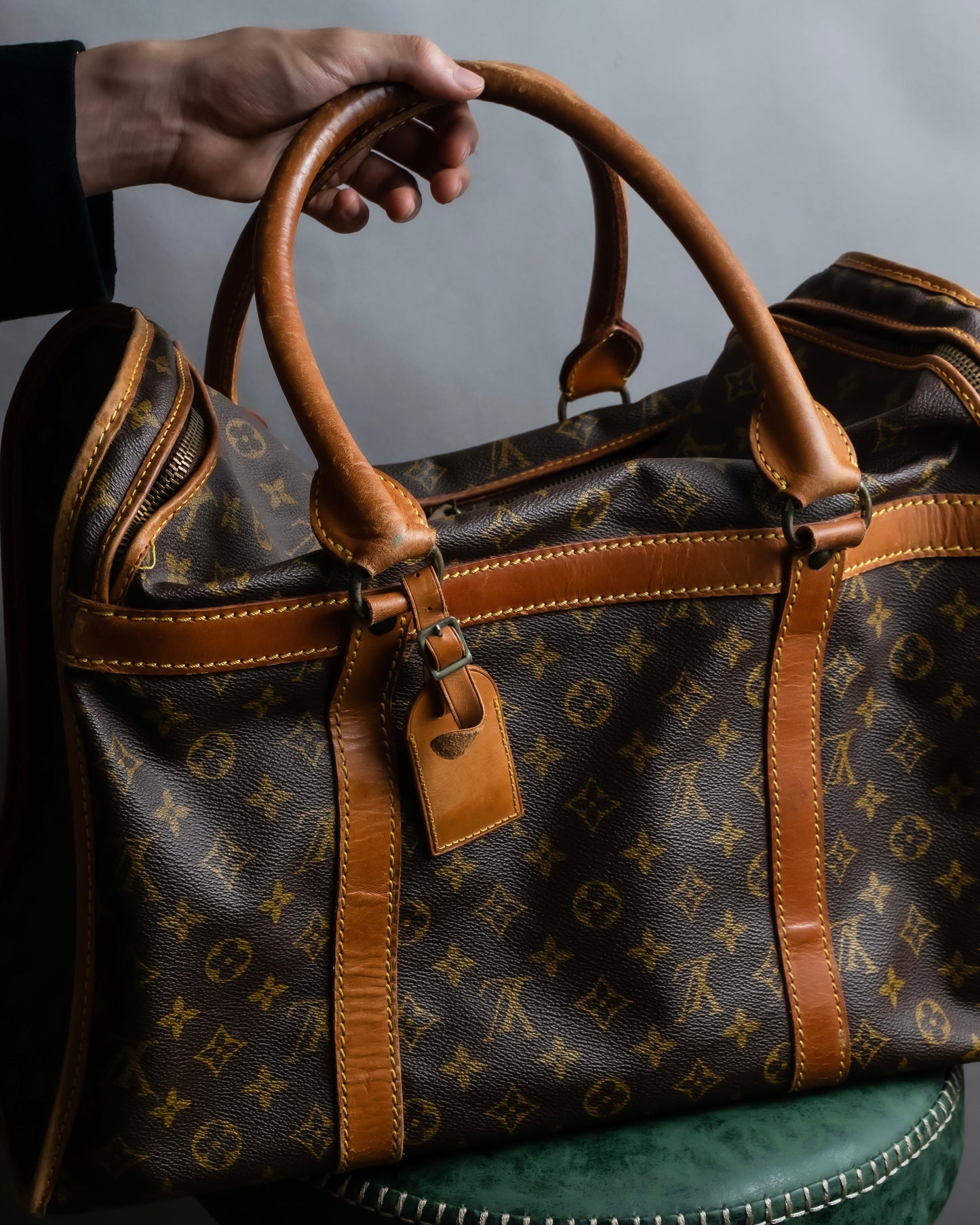 "LOUIS VUITTON" Monogram pattern pet carrier Boston bag