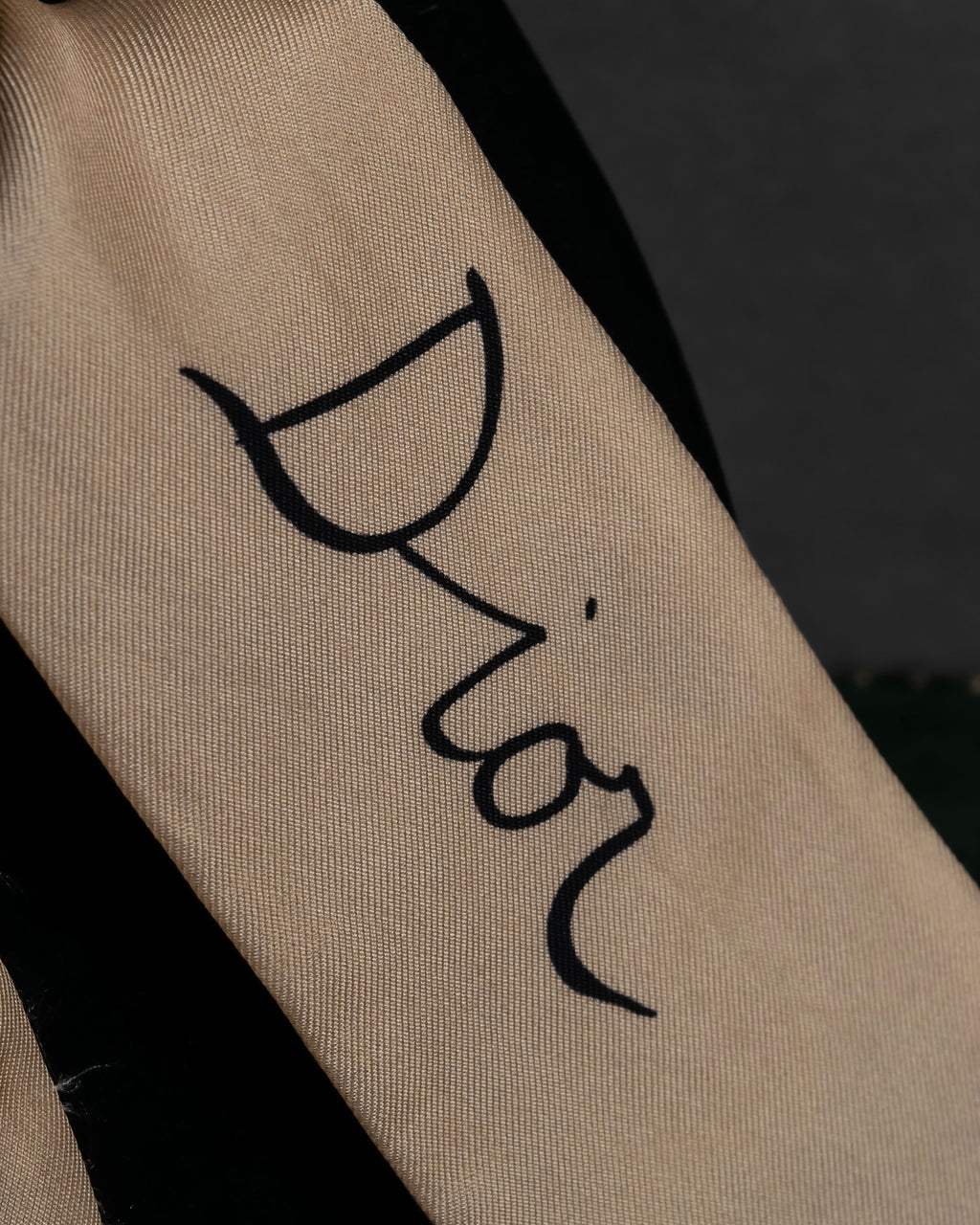 "Christian Dior" Iconic motif silk twilly scarf