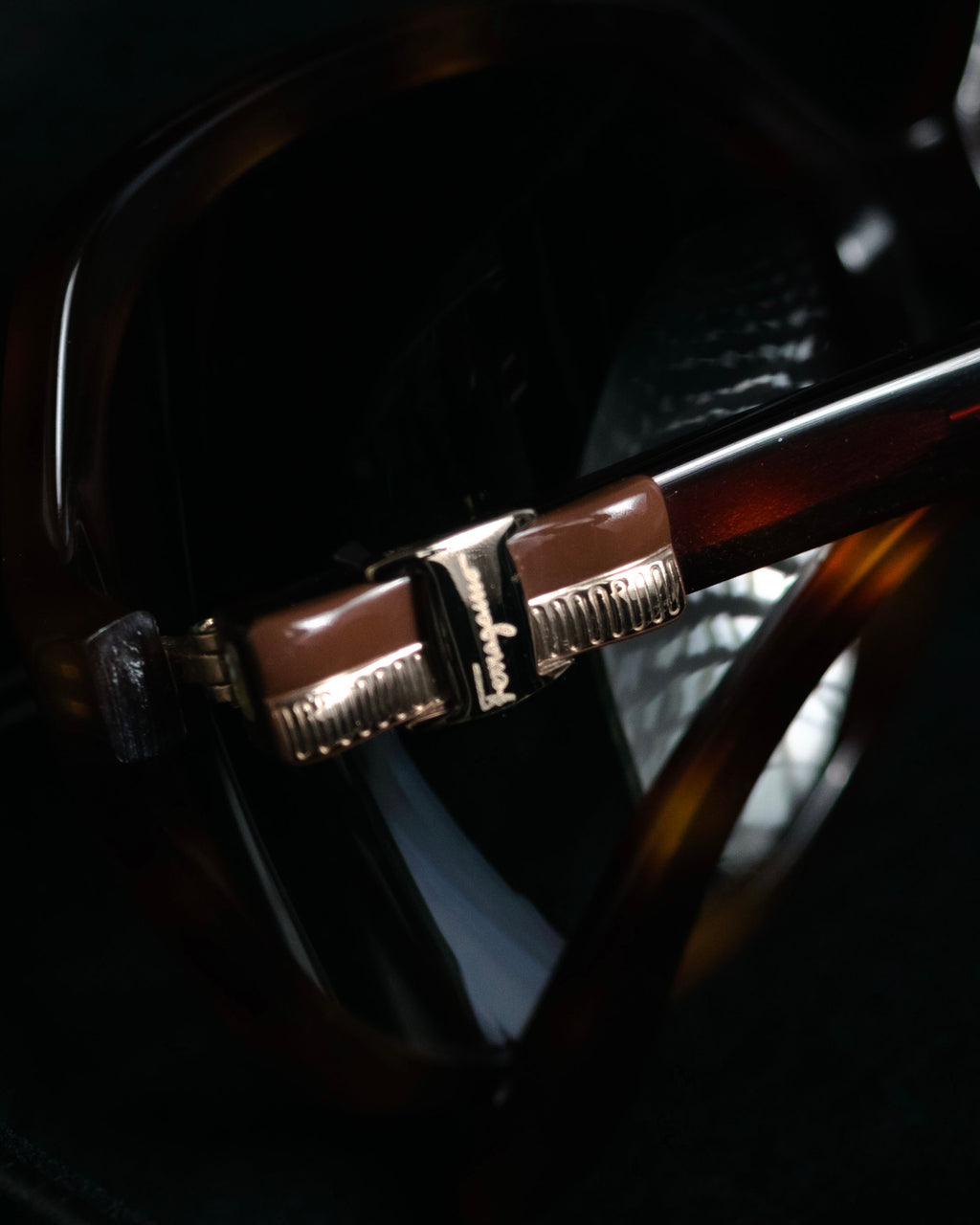 “Salvatore Ferragamo” 2010’s Havana acetate oversized sunglasses