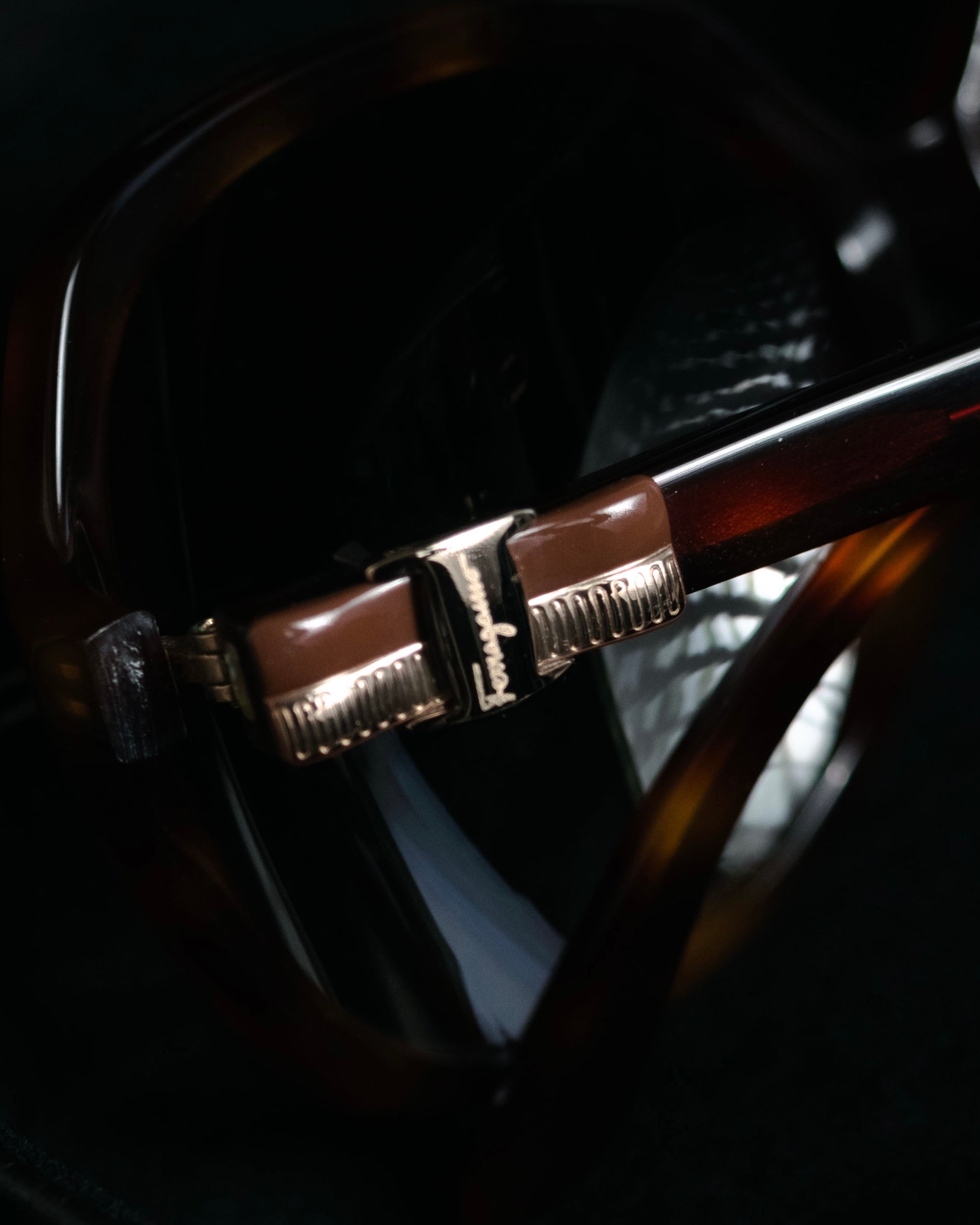“Salvatore Ferragamo” 2010’s Havana acetate oversized sunglasses