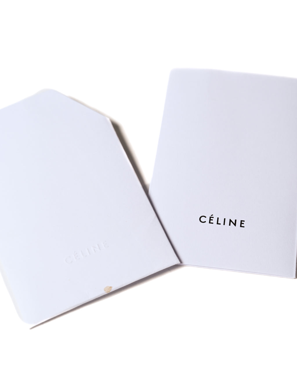 CÉLINE by Phoebe Philo/ “Big Bag Bucket” One Shoulder Bag Pale Green