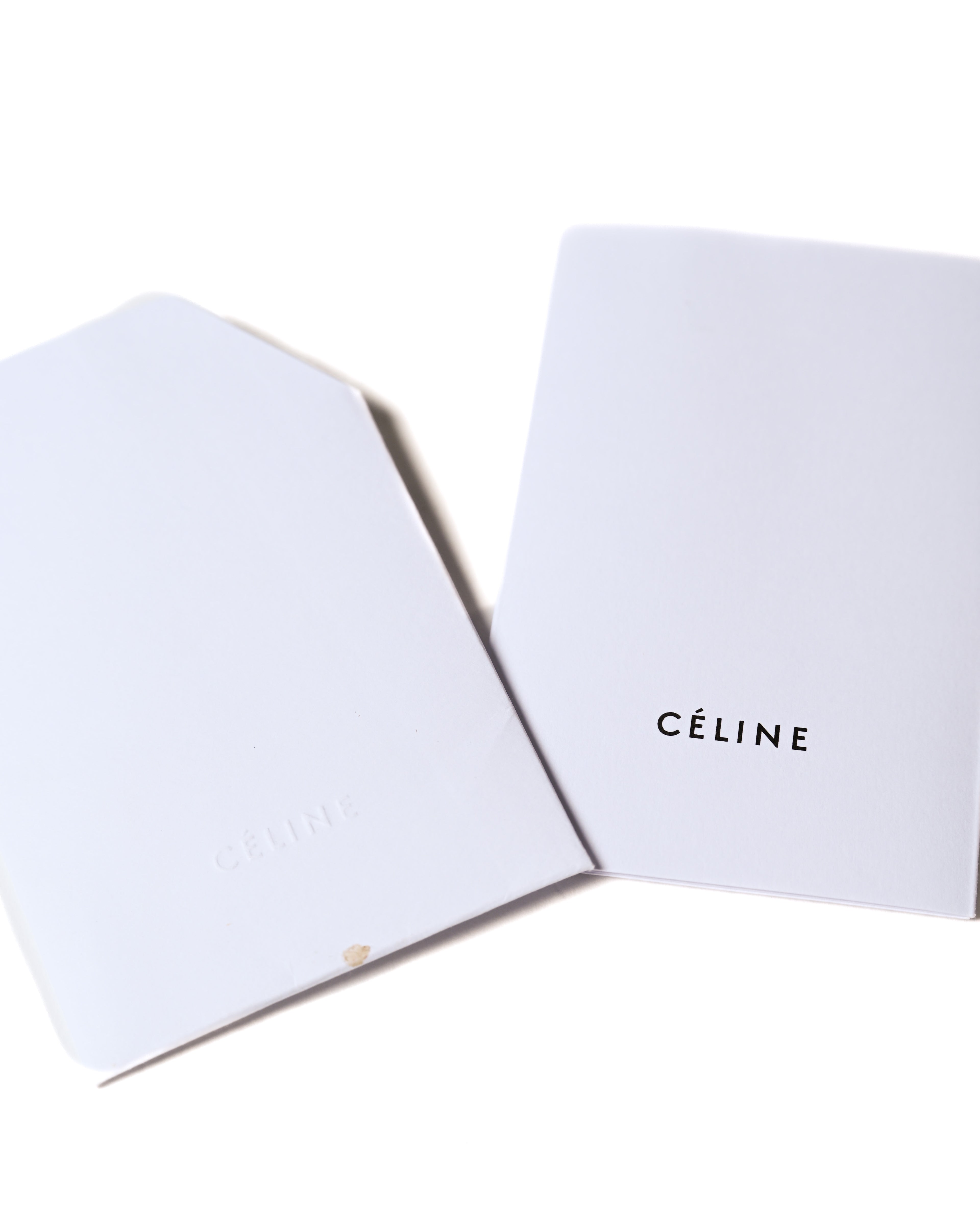 CÉLINE by Phoebe Philo/ “Big Bag Bucket” One Shoulder Bag Pale Green