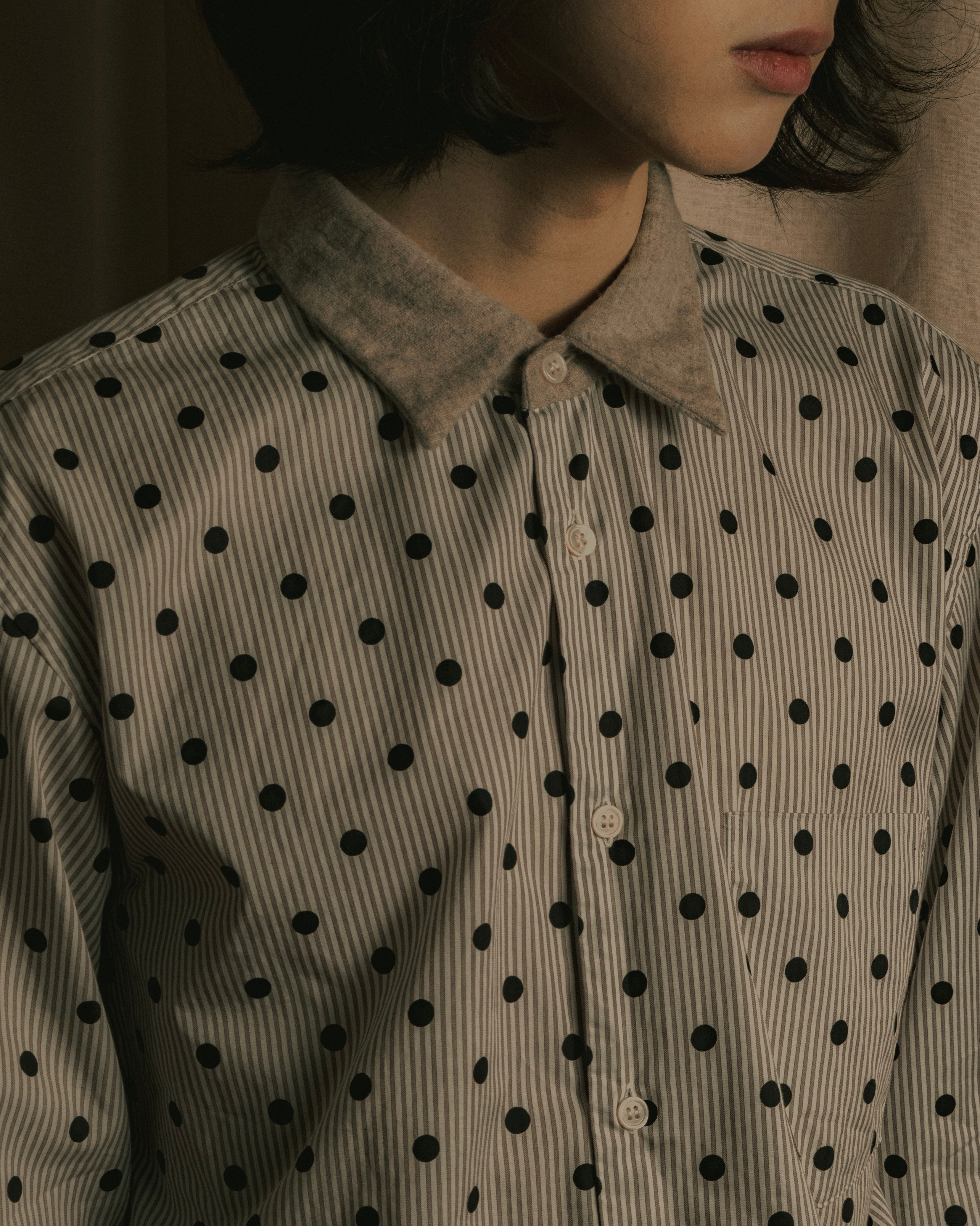 “COMME des GARÇONS HOMME DEUX” 17AW Polka dot stripe shirt