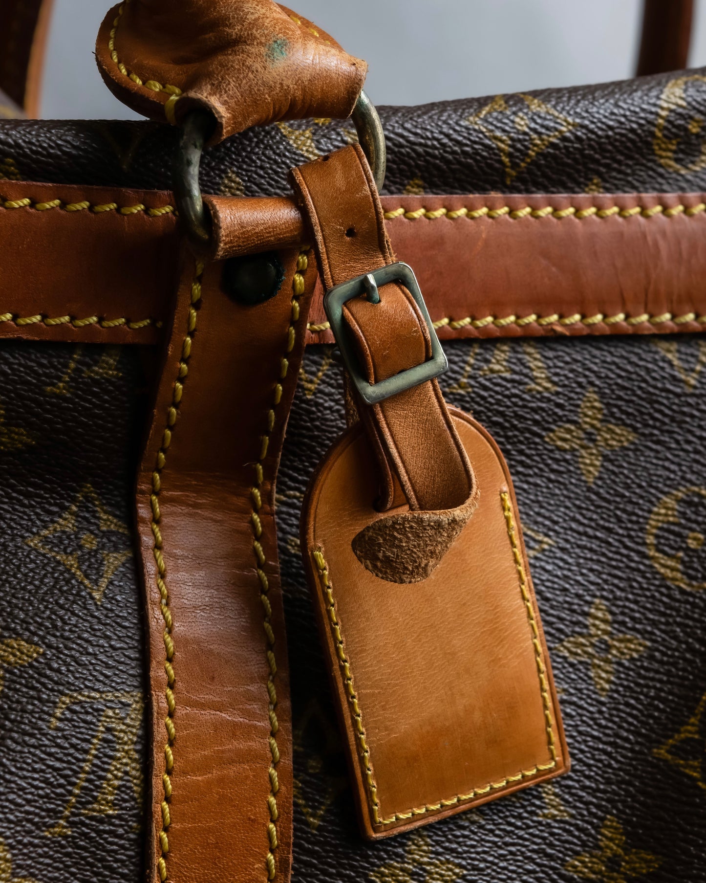 "LOUIS VUITTON" Monogram pattern pet carrier Boston bag