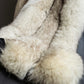 "WINDSOR" Fox fur 5 hooks gradient color jacket