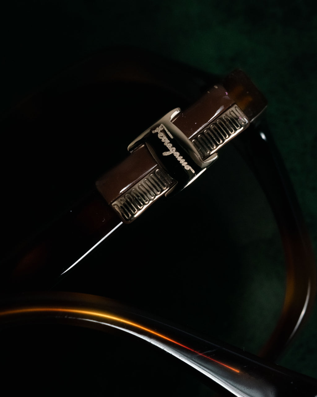 “Salvatore Ferragamo” 2010’s Havana acetate oversized sunglasses