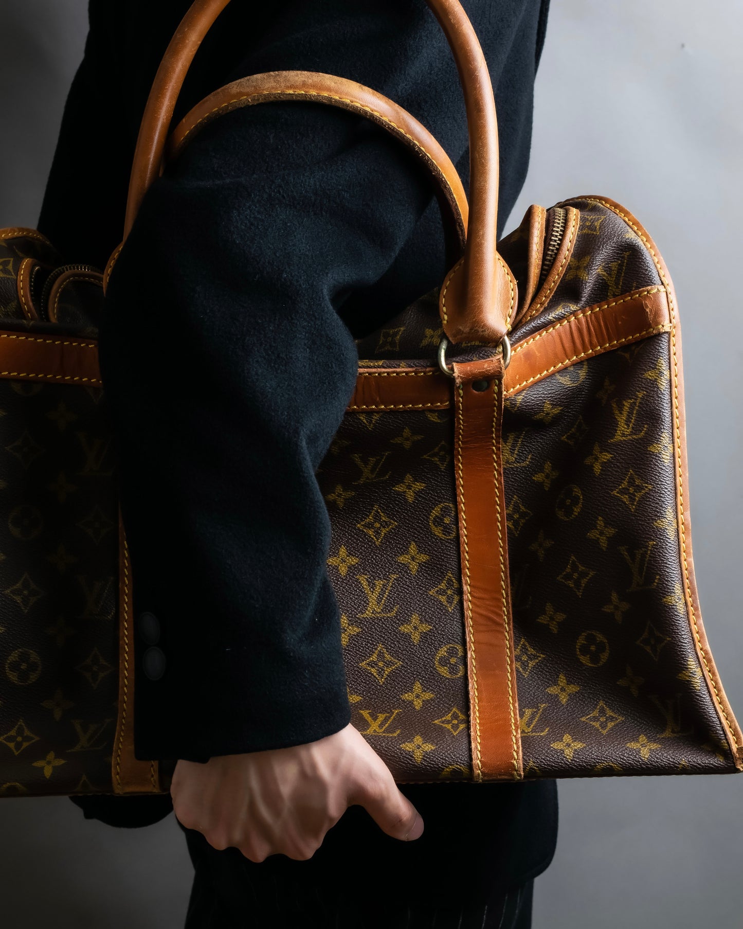 "LOUIS VUITTON" Monogram pattern pet carrier Boston bag