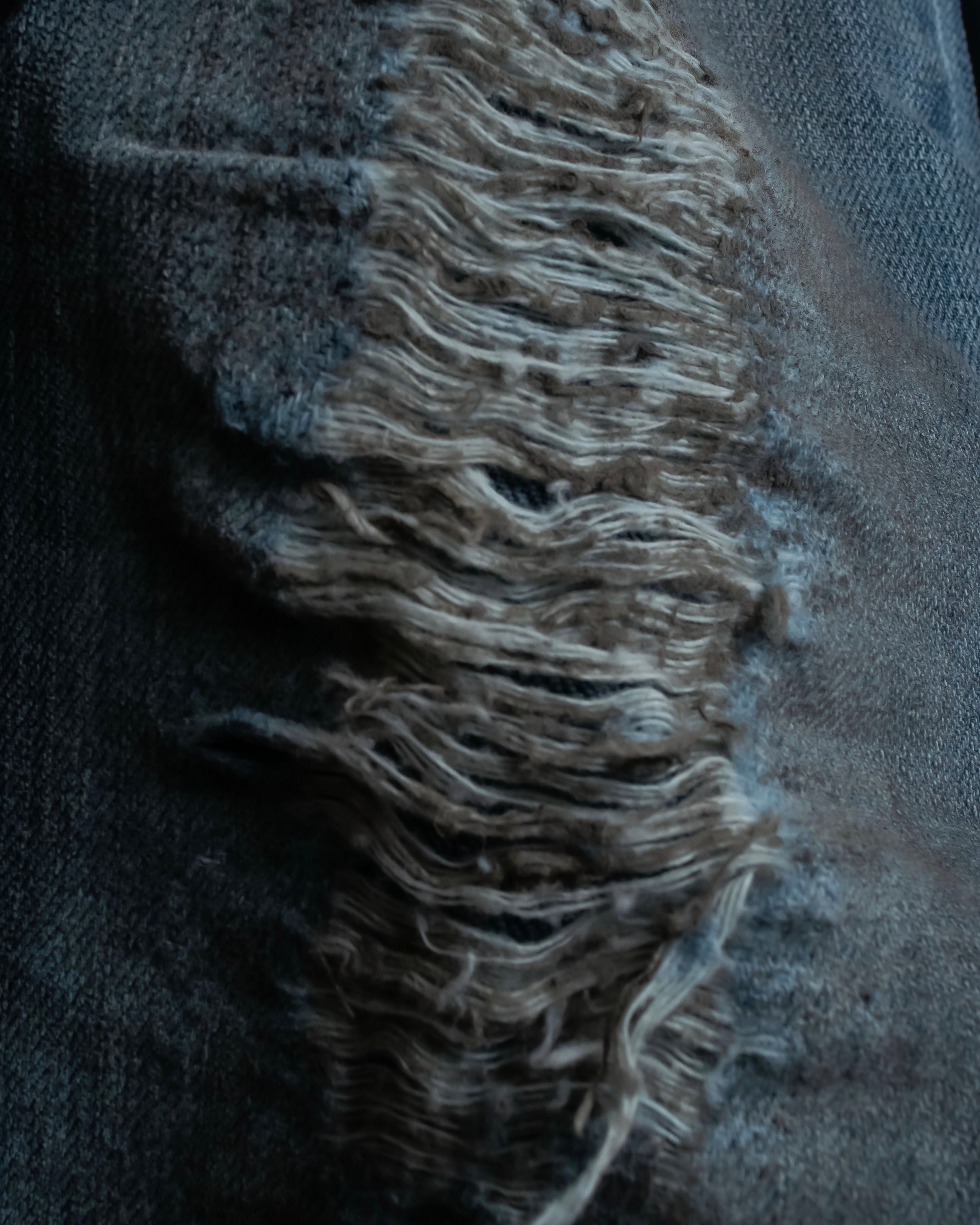 "Dolce & Gabbana" Gold zip detail distressed straight denim