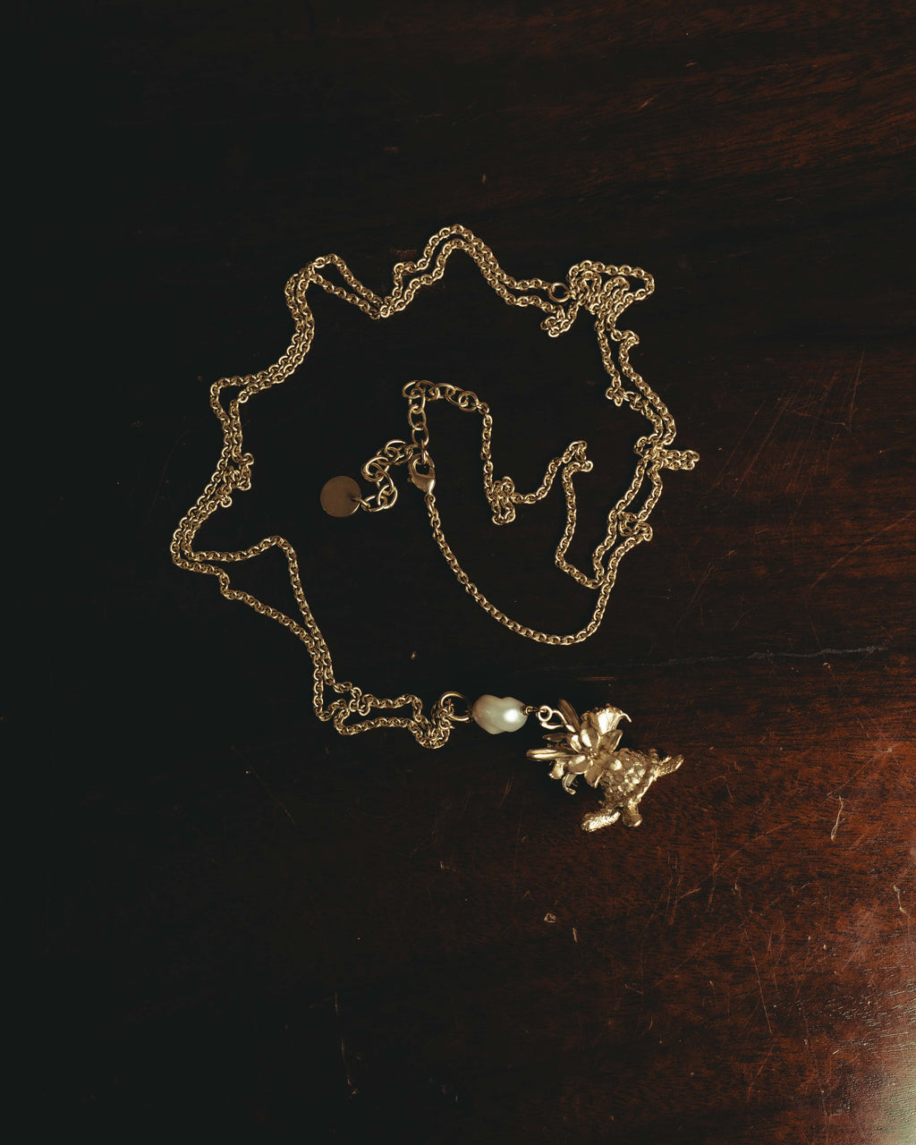 "DIOR" 20's Sculptural turtle long pendant necklace