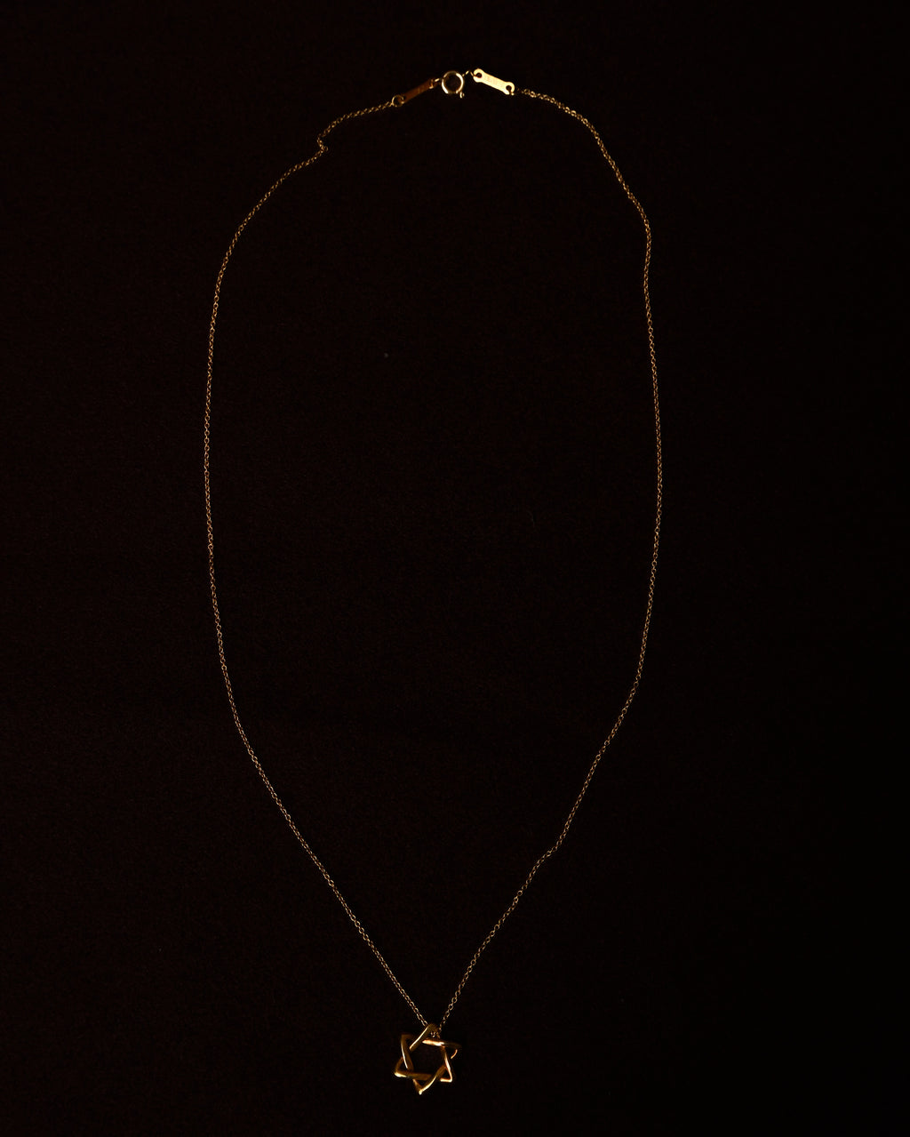 Tiffany&Co./ “Star of David” 18K Yellow Gold Necklace