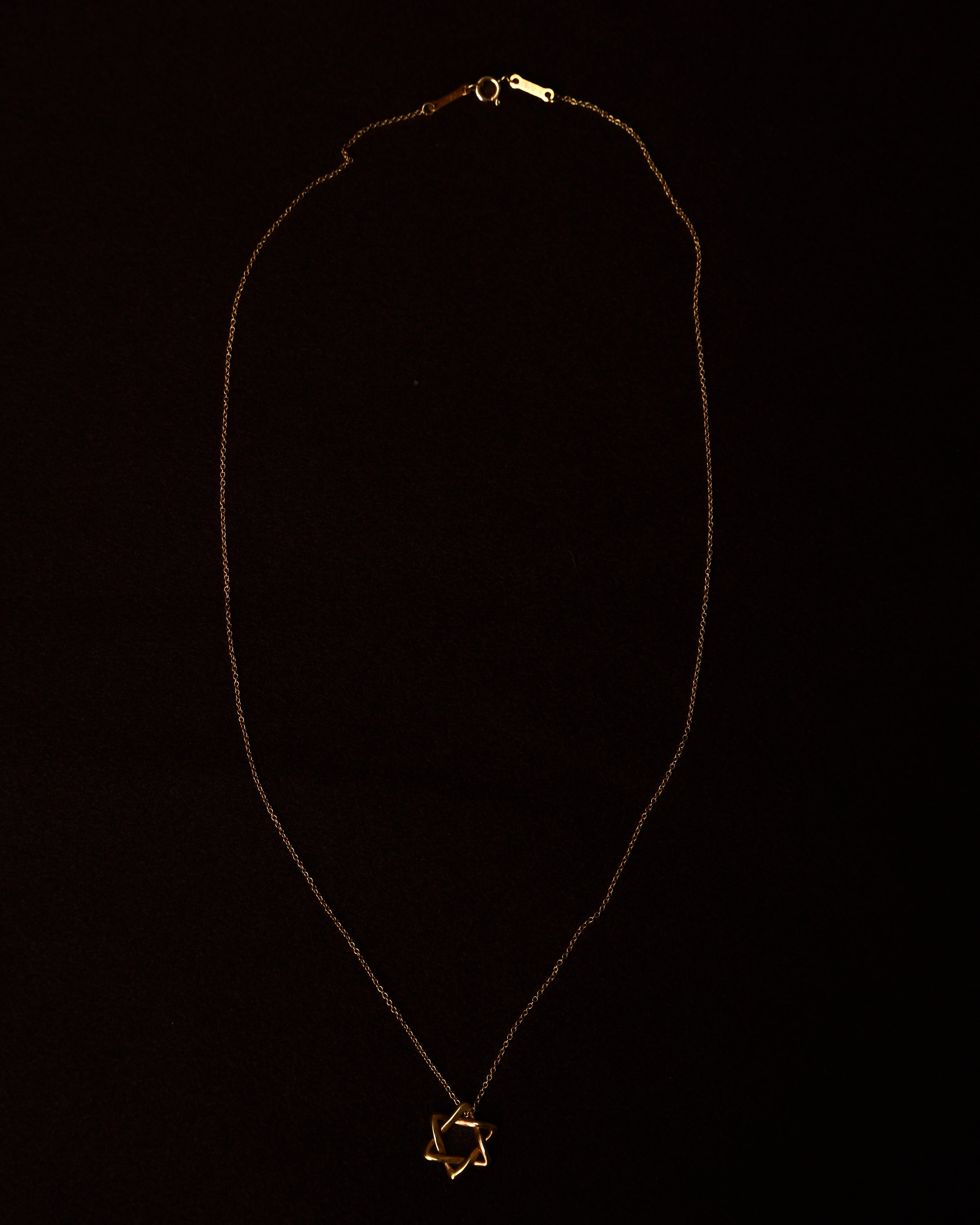 Tiffany&Co./ “Star of David” 18K Yellow Gold Necklace