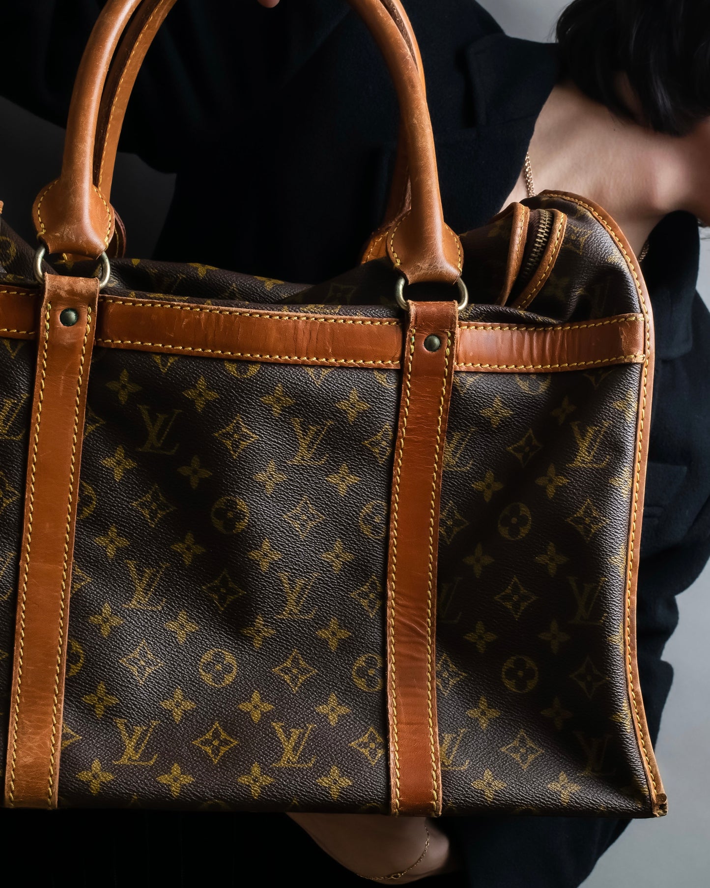 "LOUIS VUITTON" Monogram pattern pet carrier Boston bag