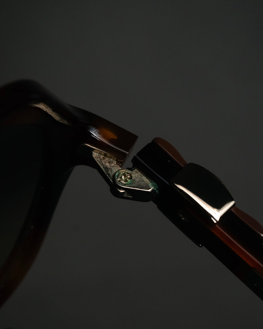 “Salvatore Ferragamo” 2010’s Havana acetate oversized sunglasses