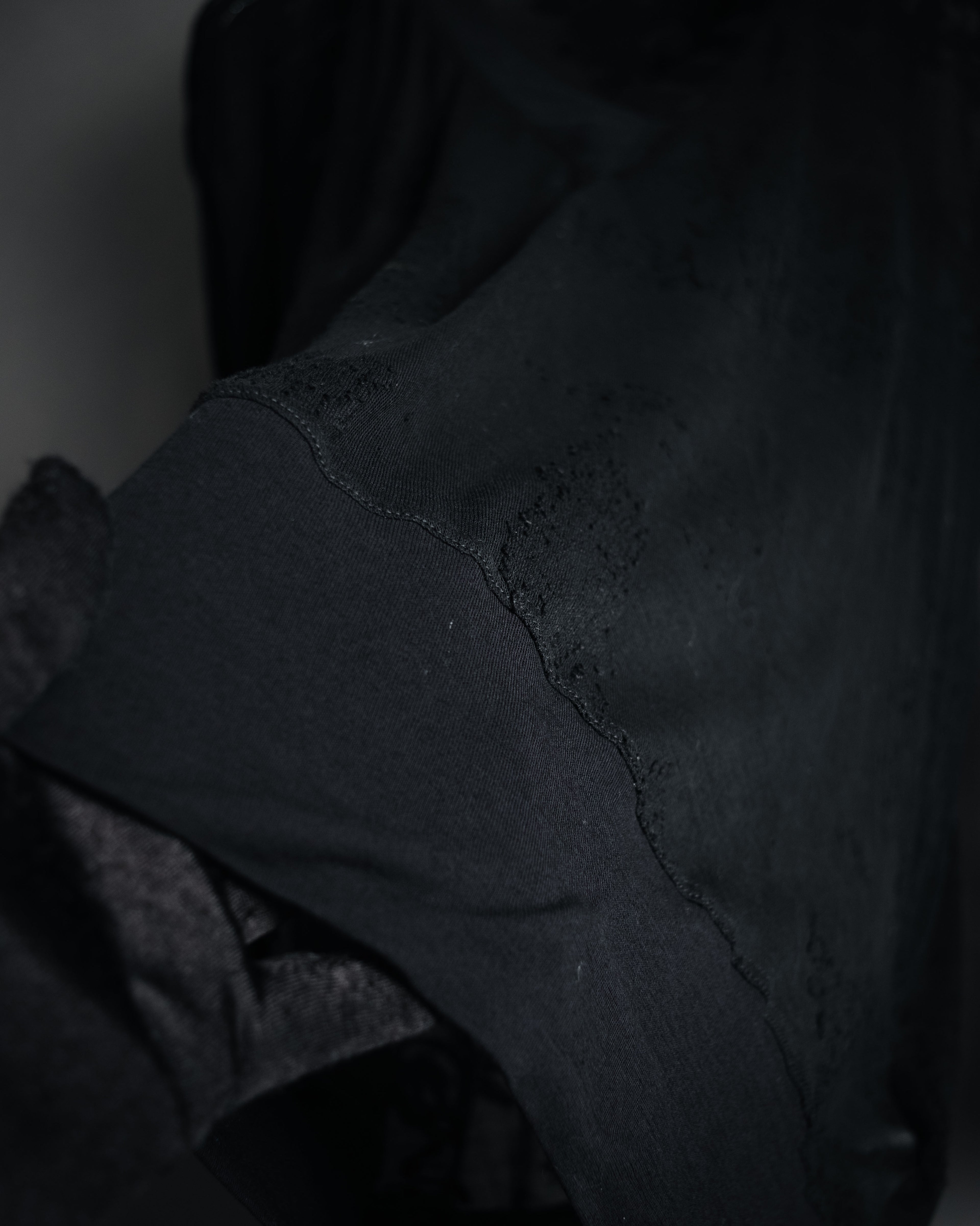 –SPECIAL– "HERMES" 00’s Sheer botanical lace cotton pullover