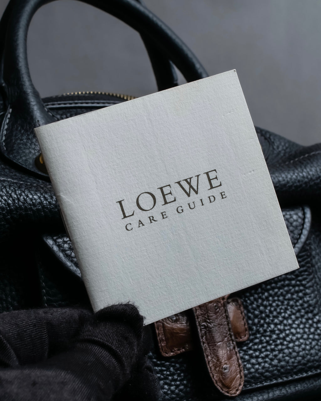 "LOEWE" Flap pocket design ostrich leather bag