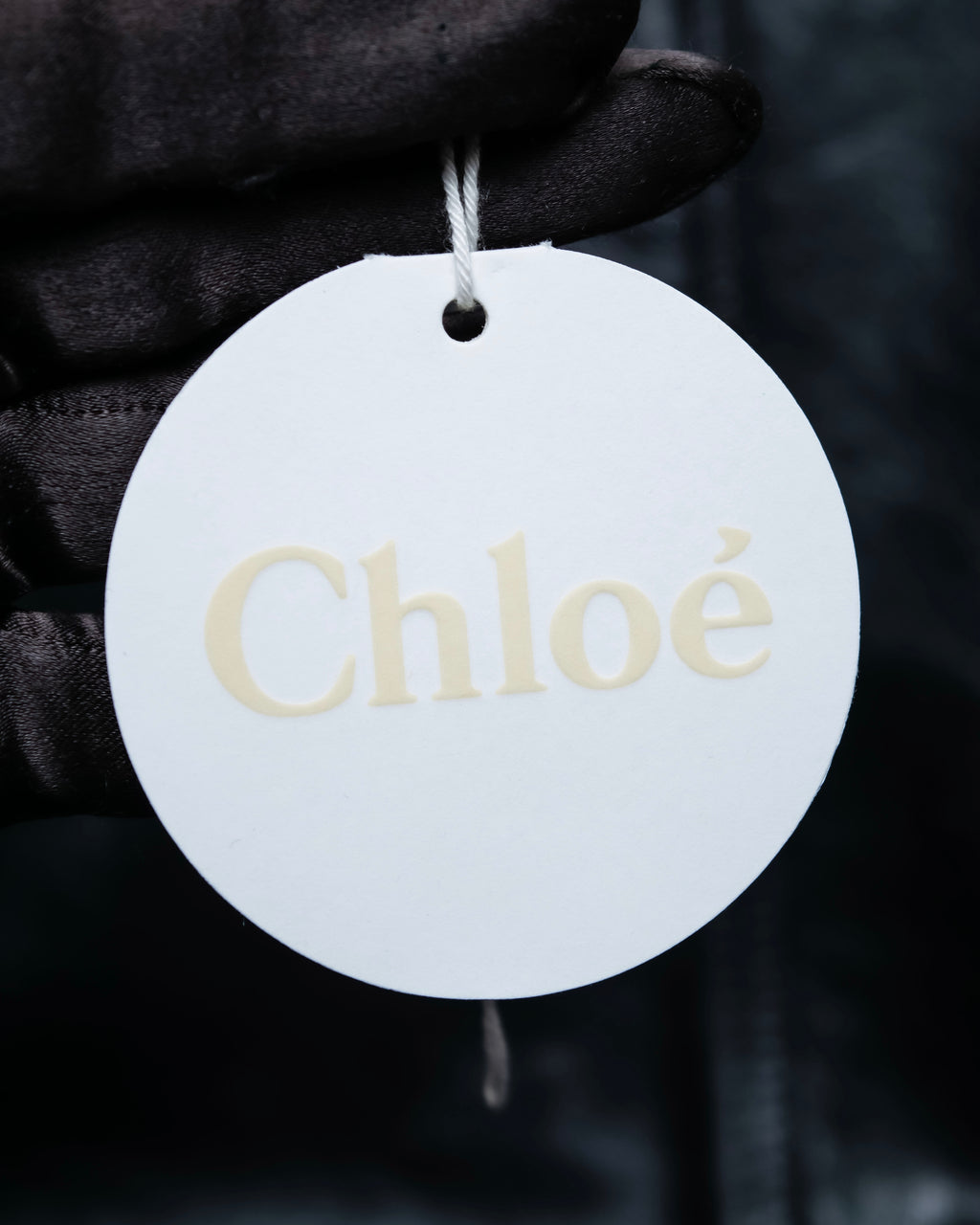 “Chloé” jewelry attached double ring necklace