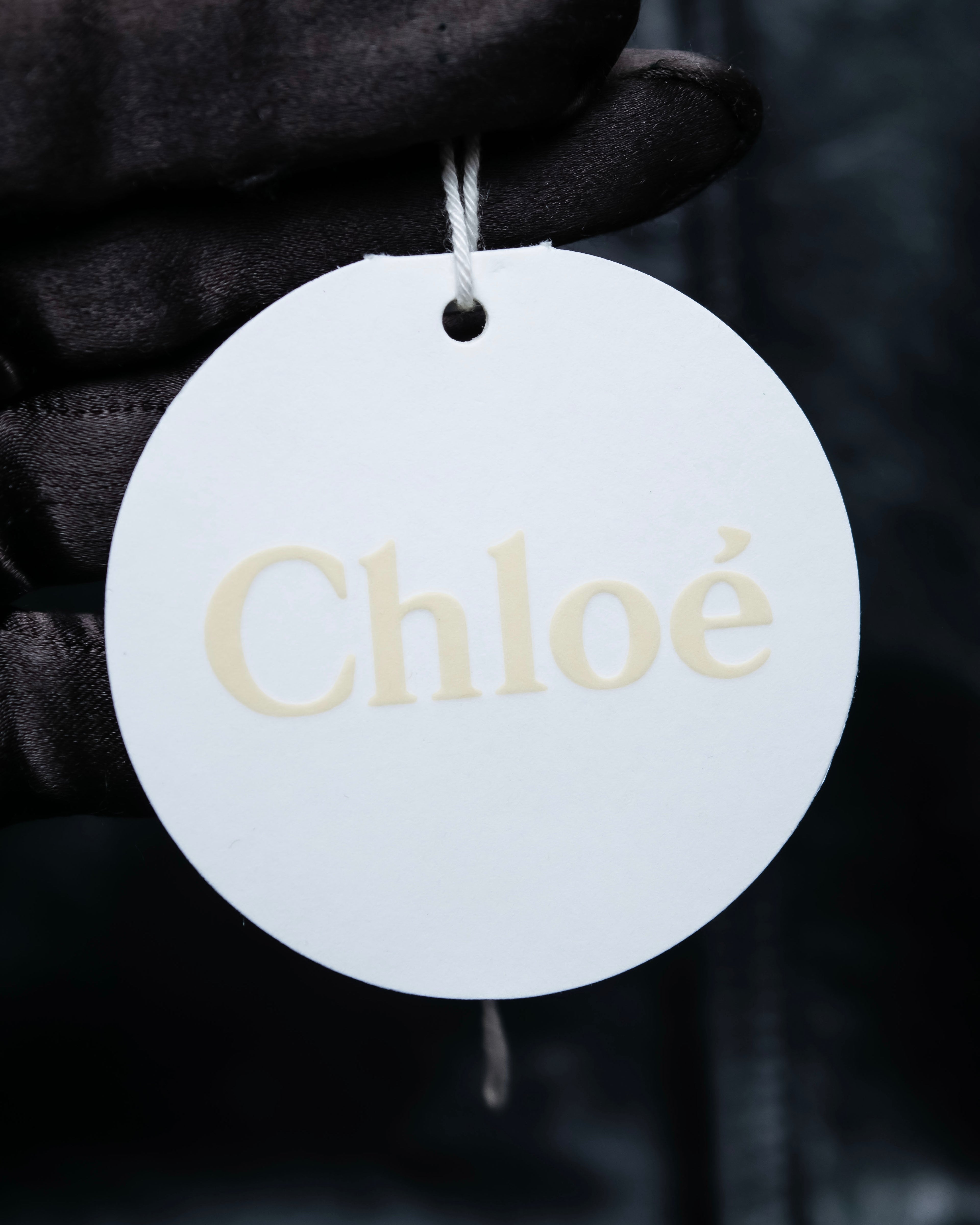 “Chloé” jewelry attached double ring necklace