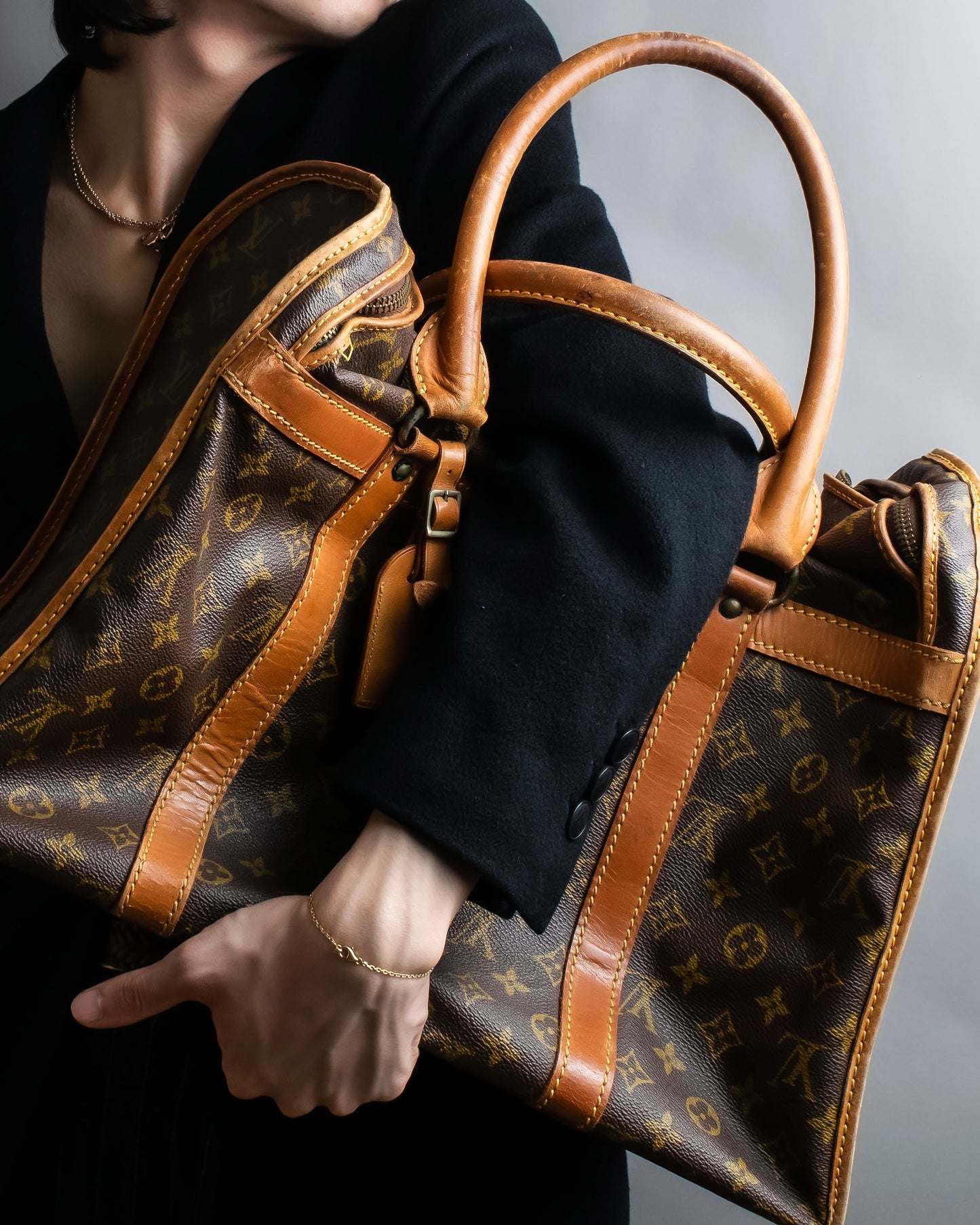 "LOUIS VUITTON" Monogram pattern pet carrier Boston bag