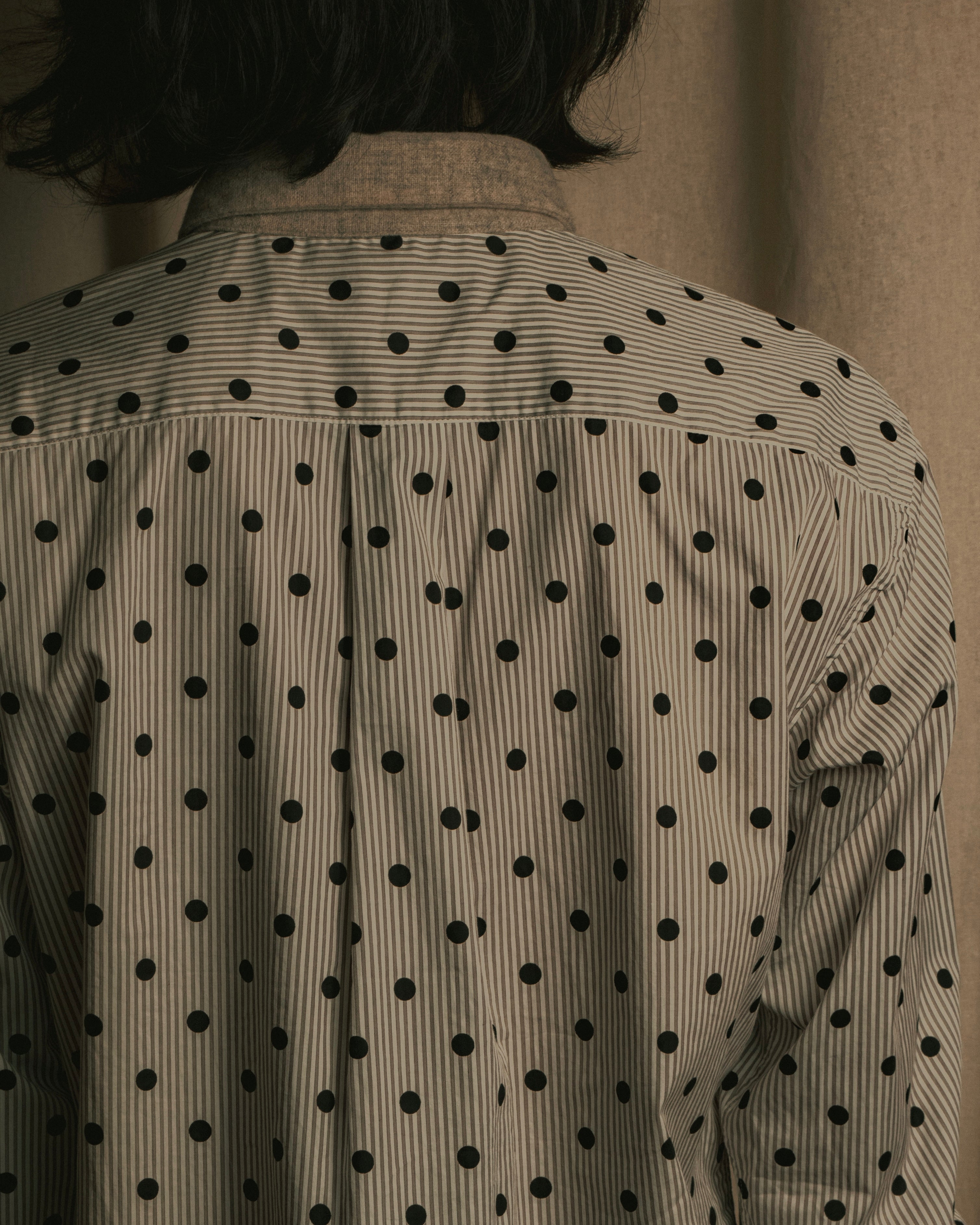 “COMME des GARÇONS HOMME DEUX” 17AW Polka dot stripe shirt