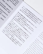 CÉLINE by Phoebe Philo/ “Big Bag Bucket” One Shoulder Bag Pale Green