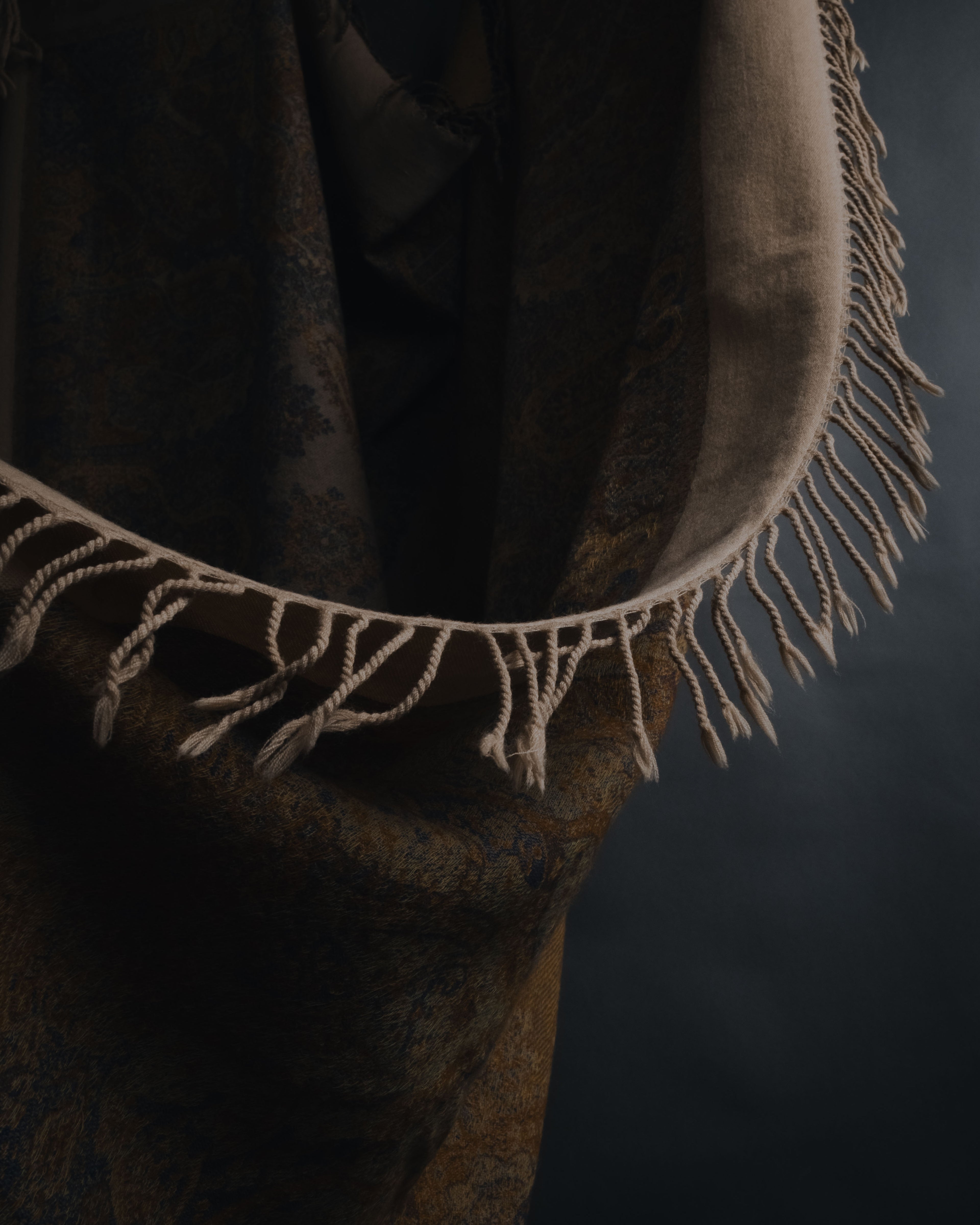 "Christian Dior" Ornamental jacquard fringe stole