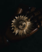 Christian Dior Floral Sunburst Crystal Brooch