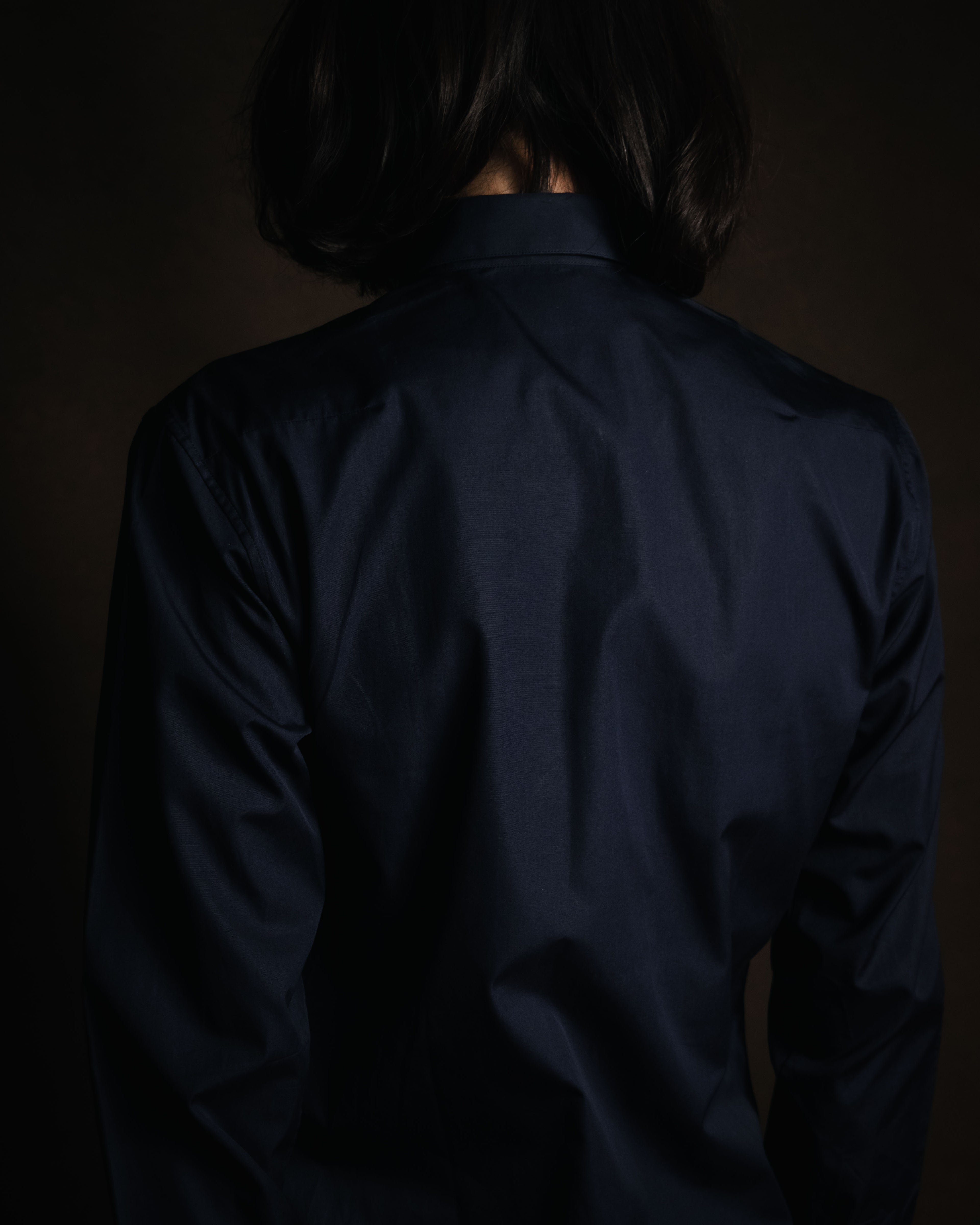 "Dior" 2017 AW Minimal fly-front bee-embroidered shirt