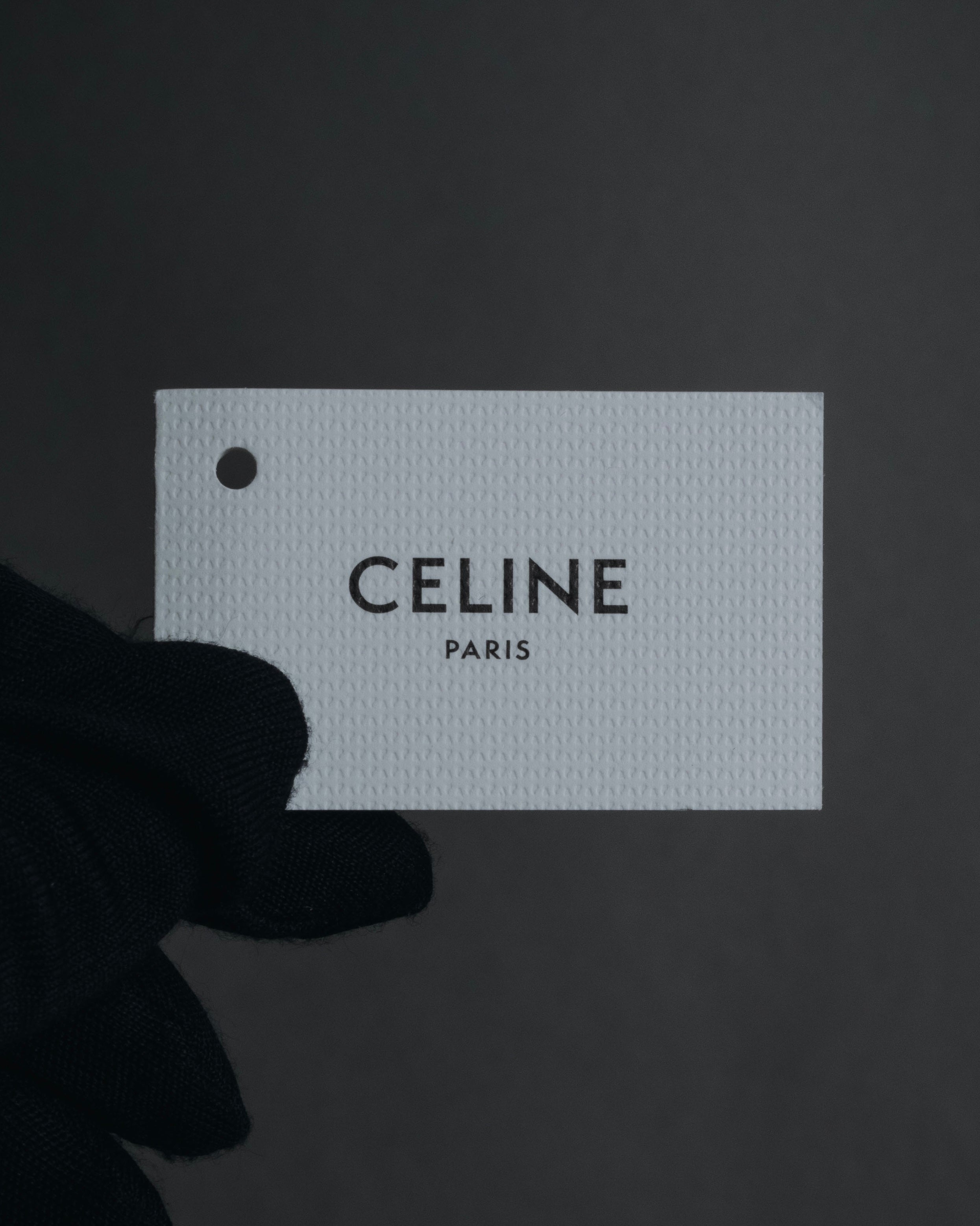 "CELINE" 2021-2024 triomphe metal temple acetate sunglasses