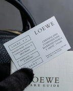 "LOEWE" Flap pocket design ostrich leather bag