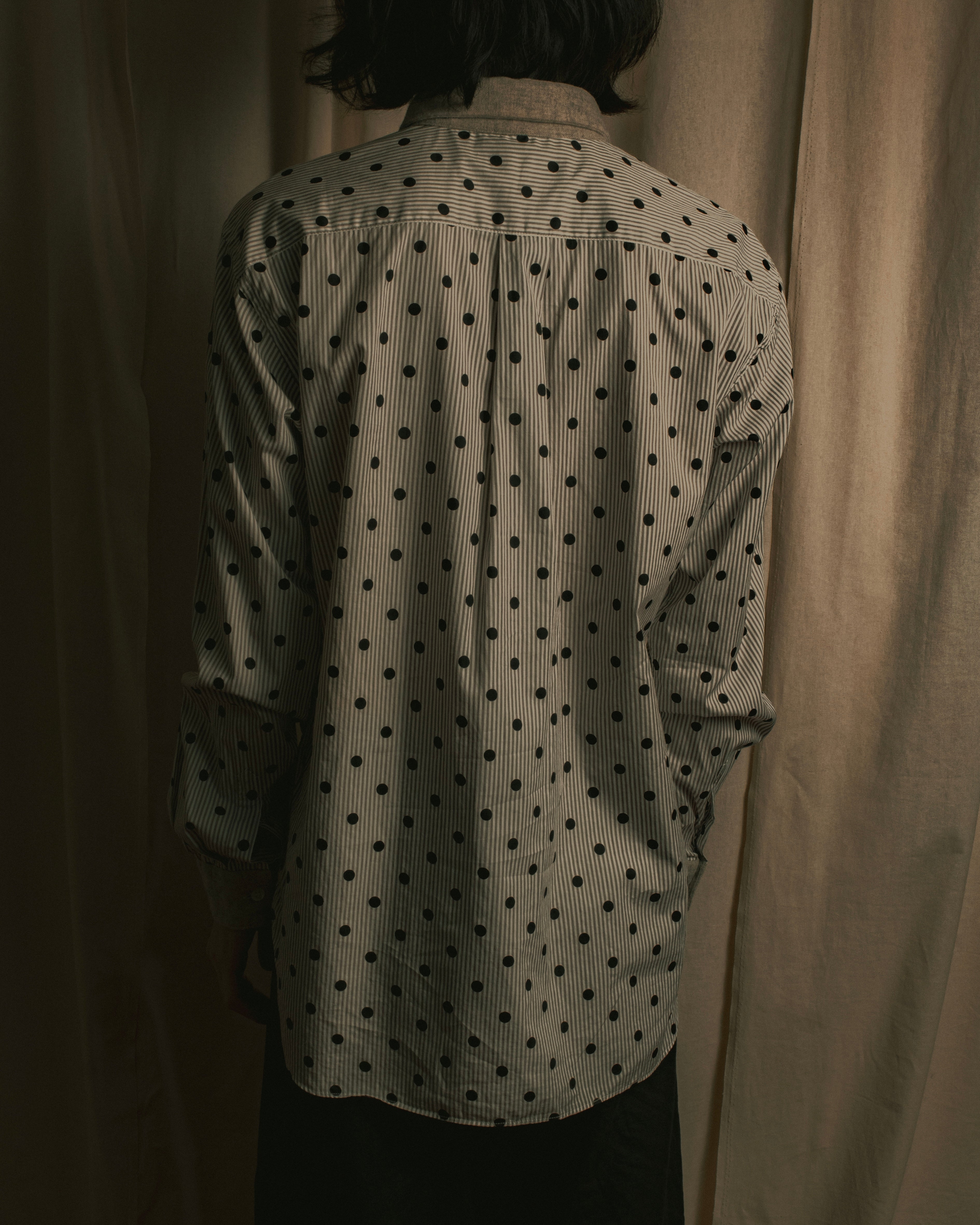 “COMME des GARÇONS HOMME DEUX” 17AW Polka dot stripe shirt