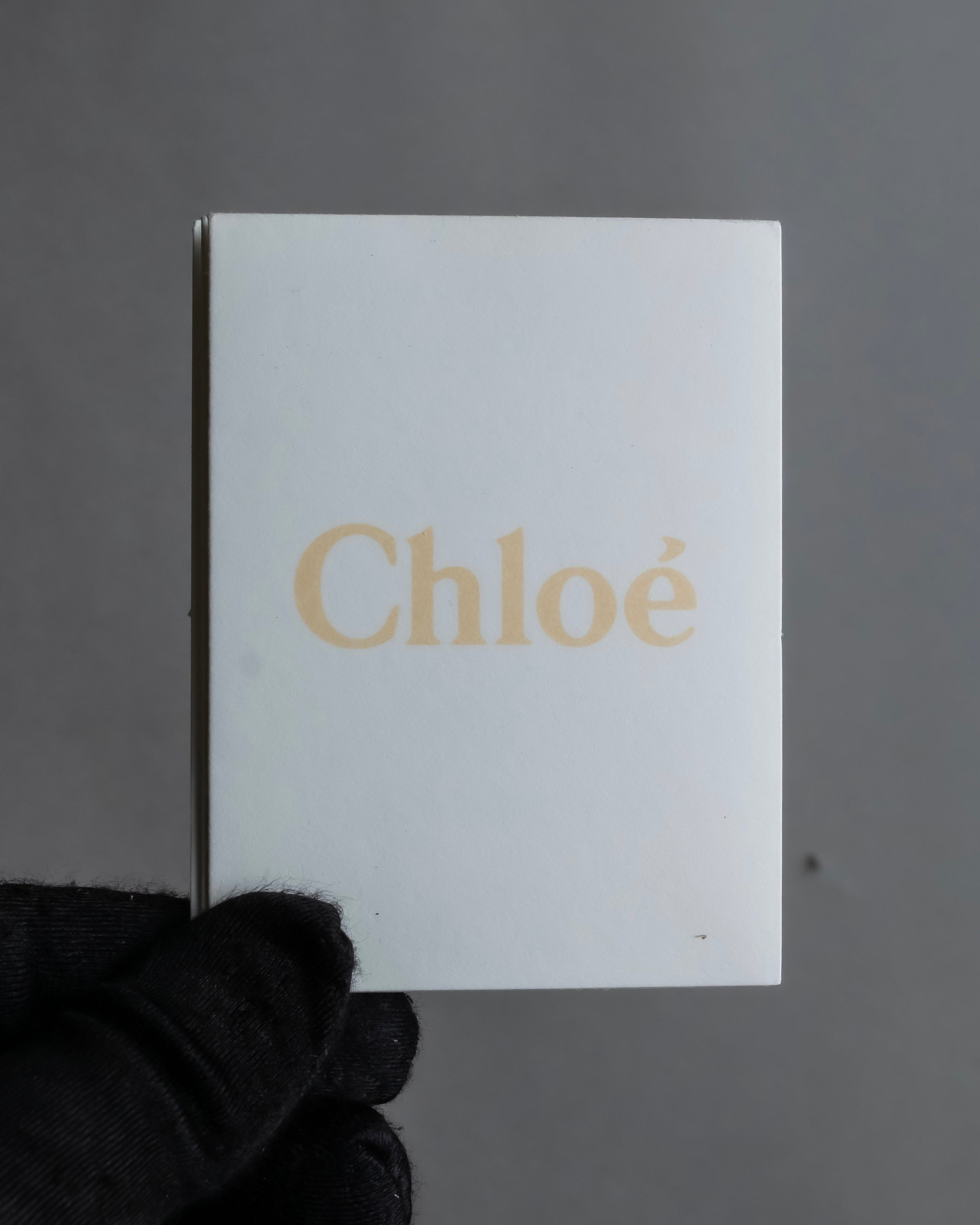 "Chloe" LEXA series 2way leather shoulder bag