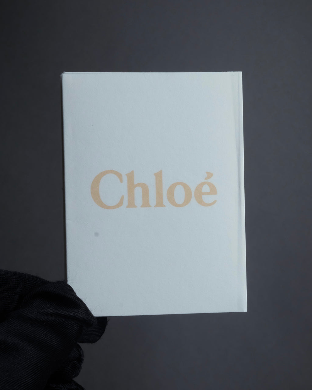 "Chloe" Georgia double flap design leather bag