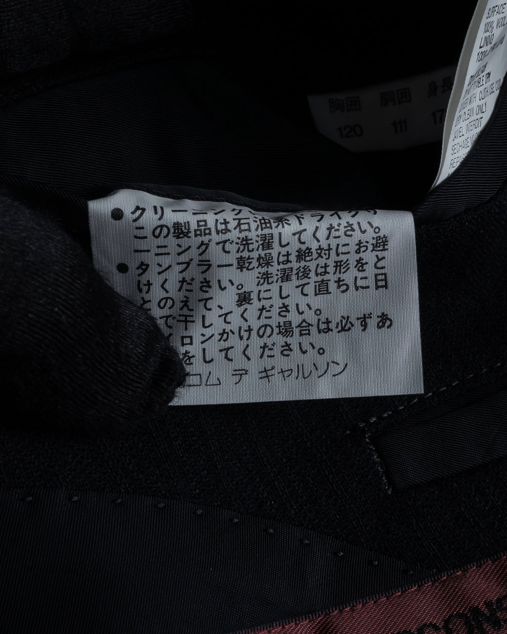 "COMME des GARCONS HOMME DEUX" 97AW Pinstripe classic set up