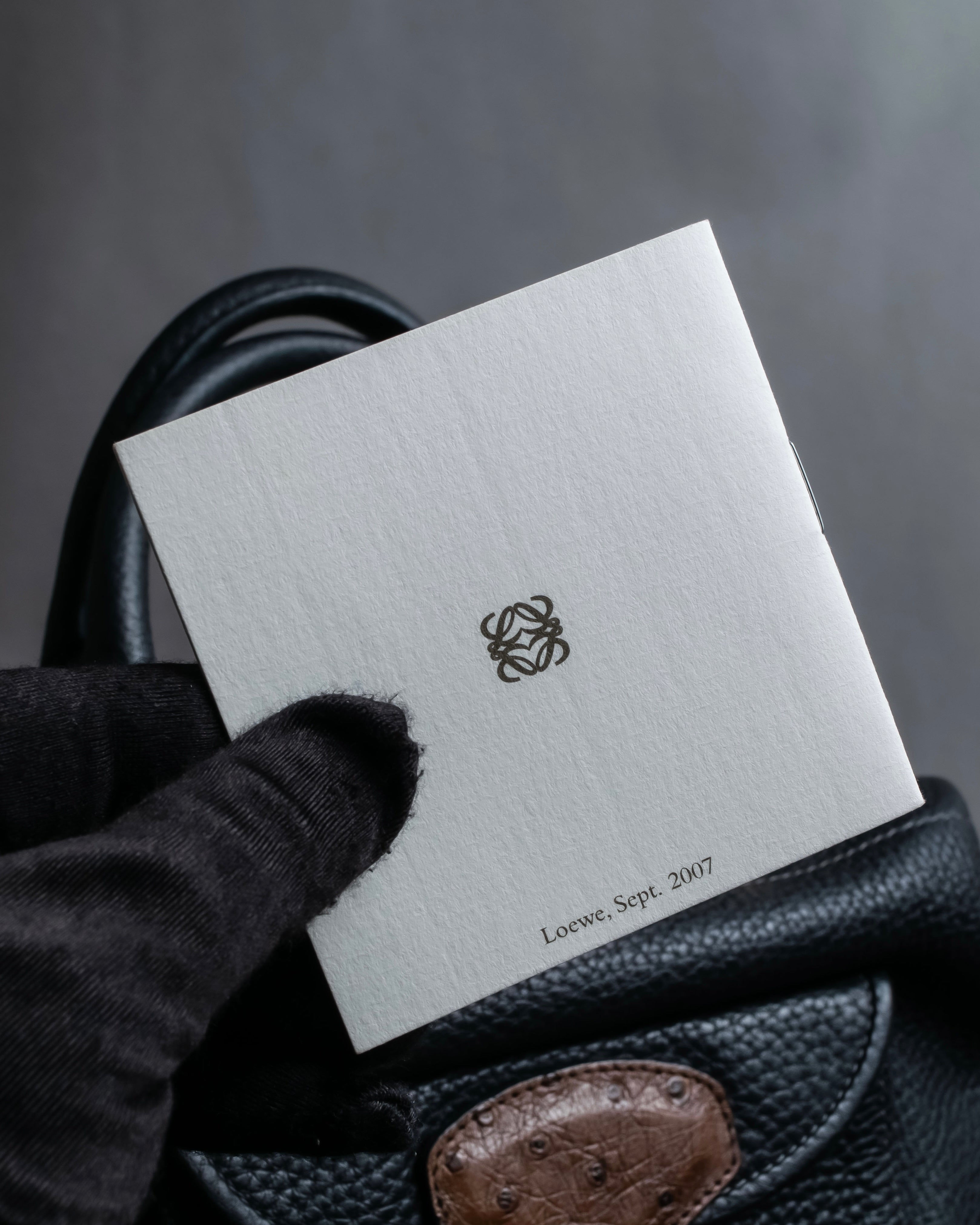 "LOEWE" Flap pocket design ostrich leather bag