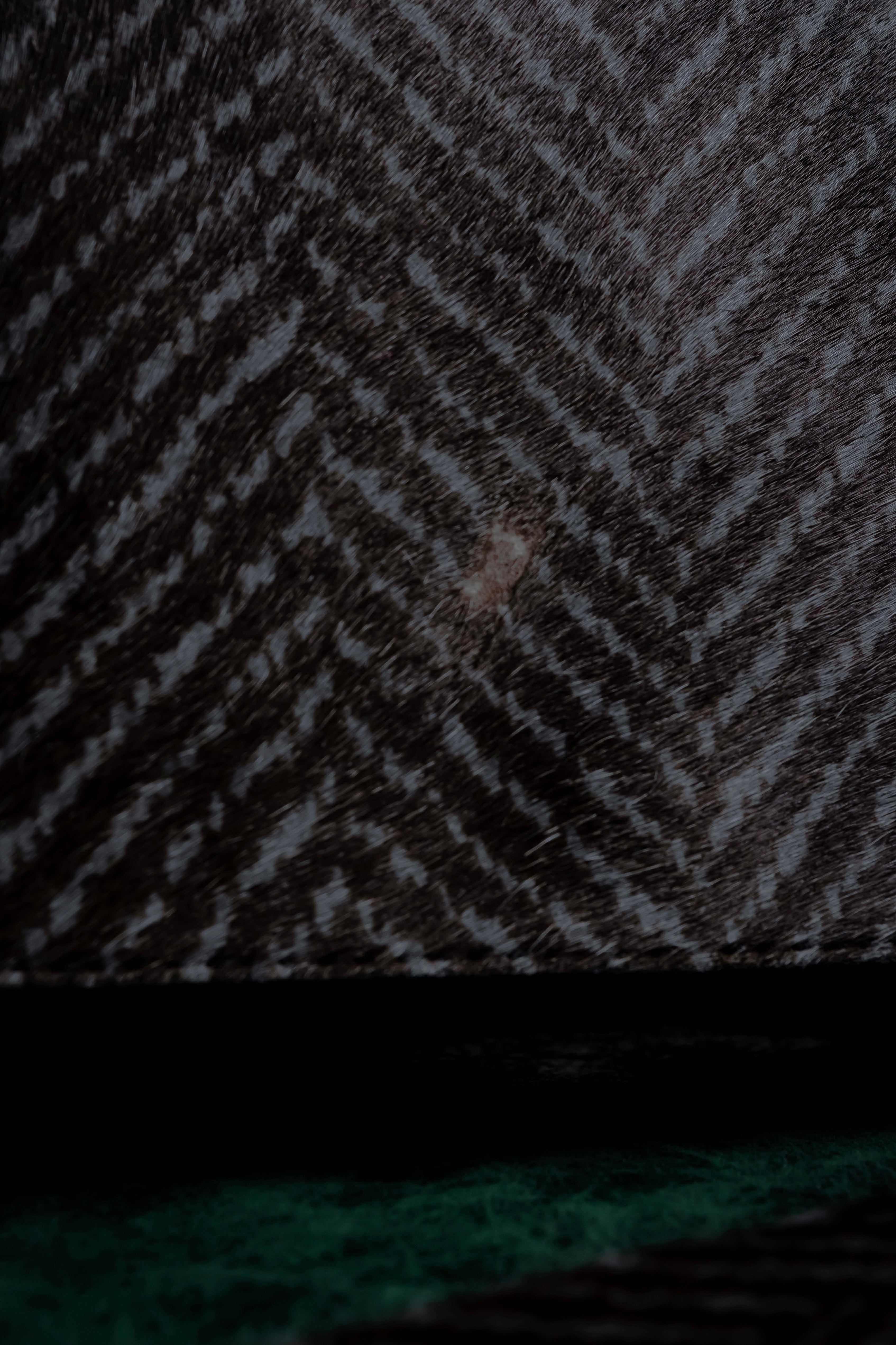 "JIL SANDER" Large flap design Harako leather shoulder bag