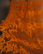 -SPECIAL- “HERMÈS” 2000’s-2010’s orange floral mesh lace stole