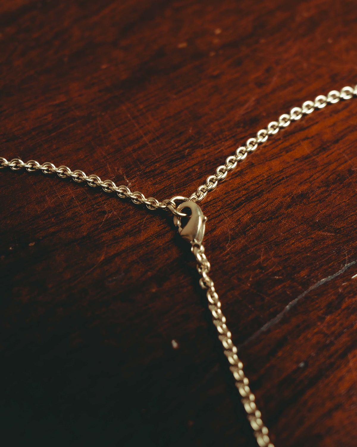 -SPECIAL- “Dior” 22’s-23’s Rêve d’Infini floral turtle long necklace