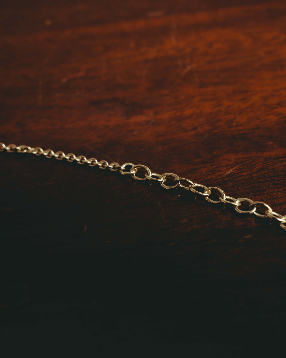 -SPECIAL- “Dior” 22’s-23’s Rêve d’Infini floral turtle long necklace