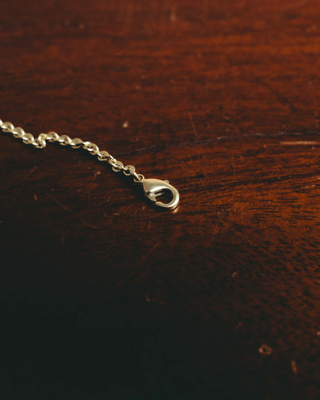 -SPECIAL- “Dior” 22’s-23’s Rêve d’Infini floral turtle long necklace