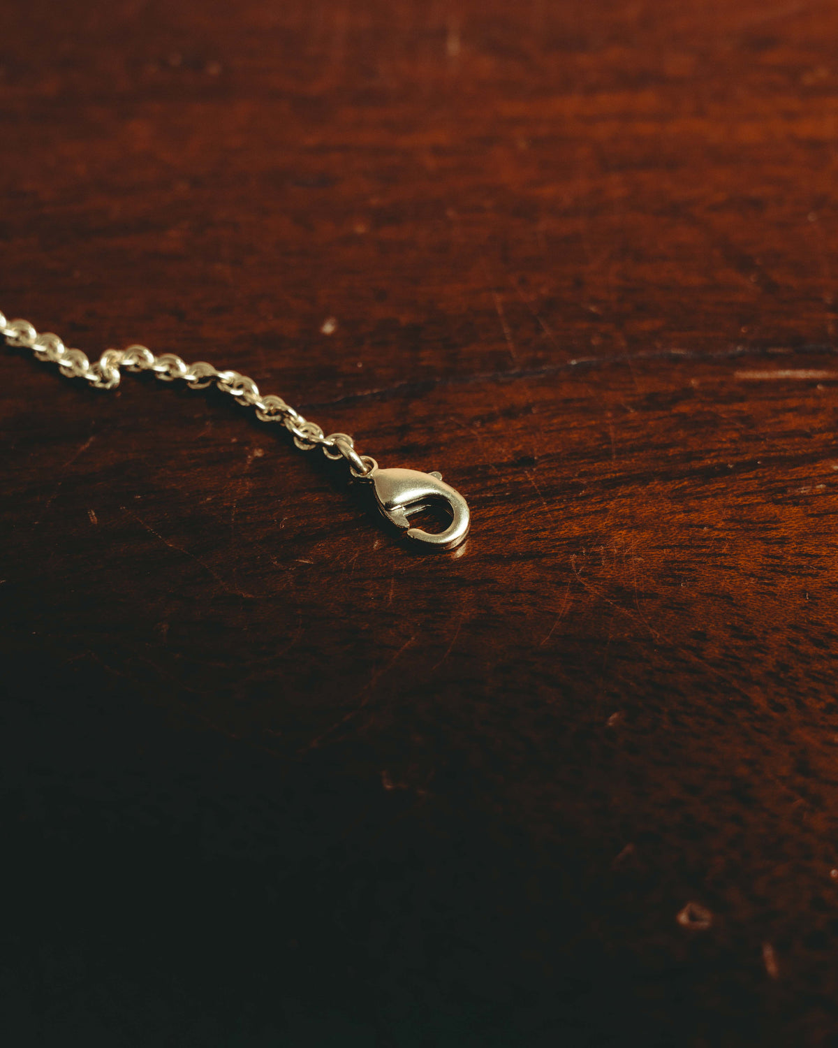 -SPECIAL- “Dior” 22’s-23’s Rêve d’Infini floral turtle long necklace