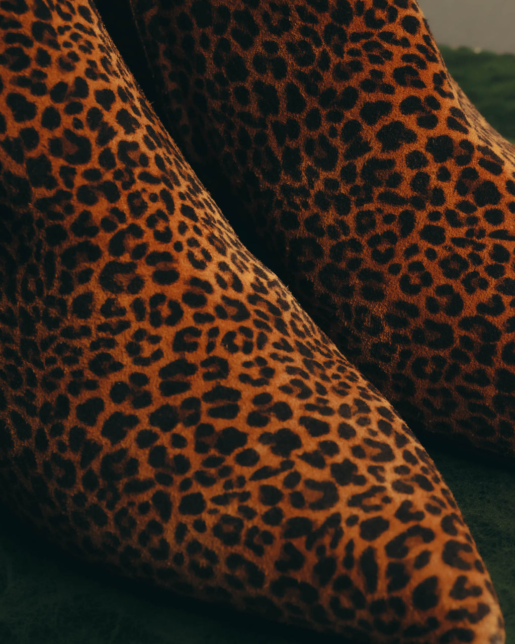 "Sergio Rossi" 2010's Leopard pattern leather ankle boots